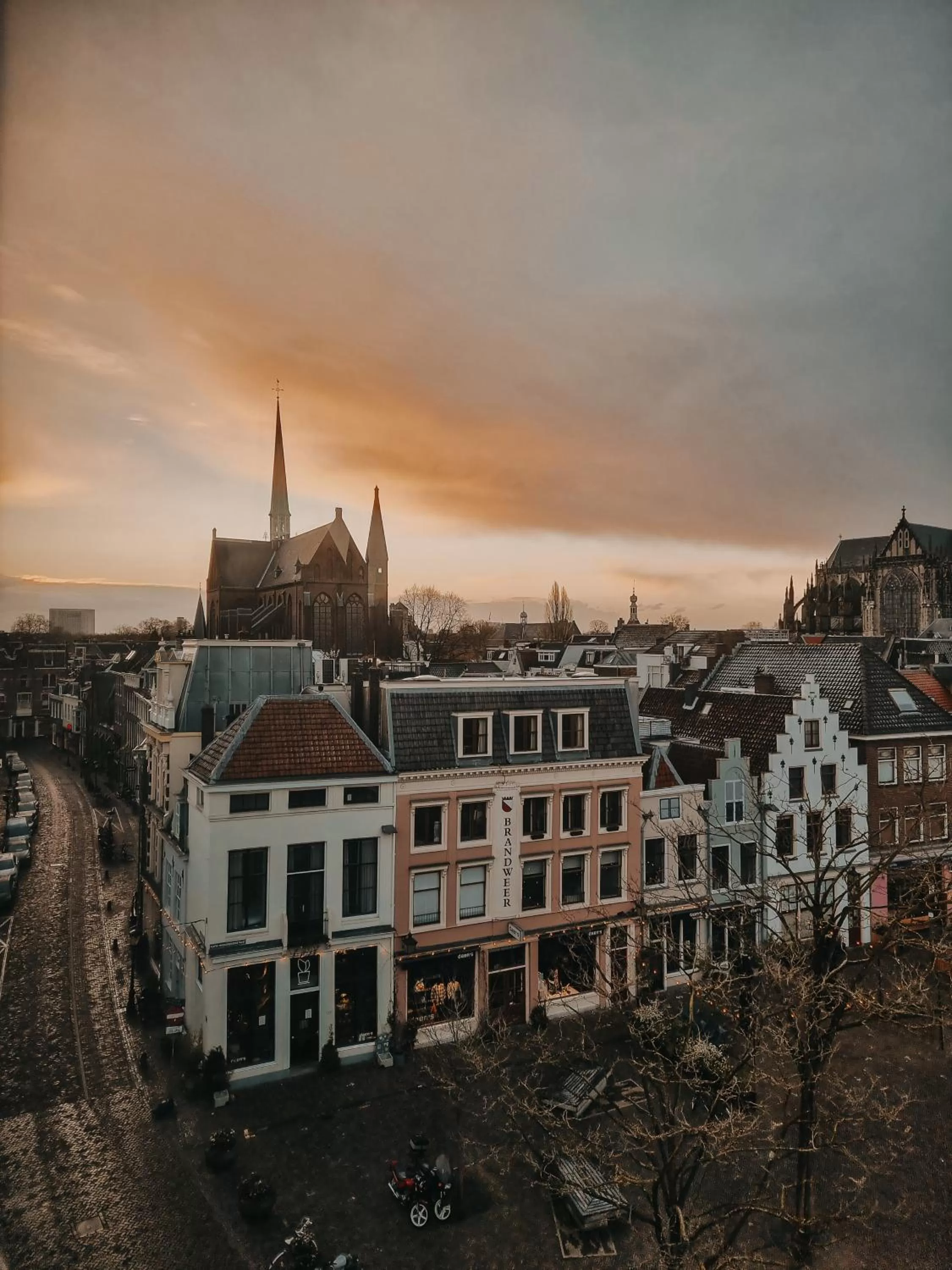 View (from property/room) in Mother Goose Hotel