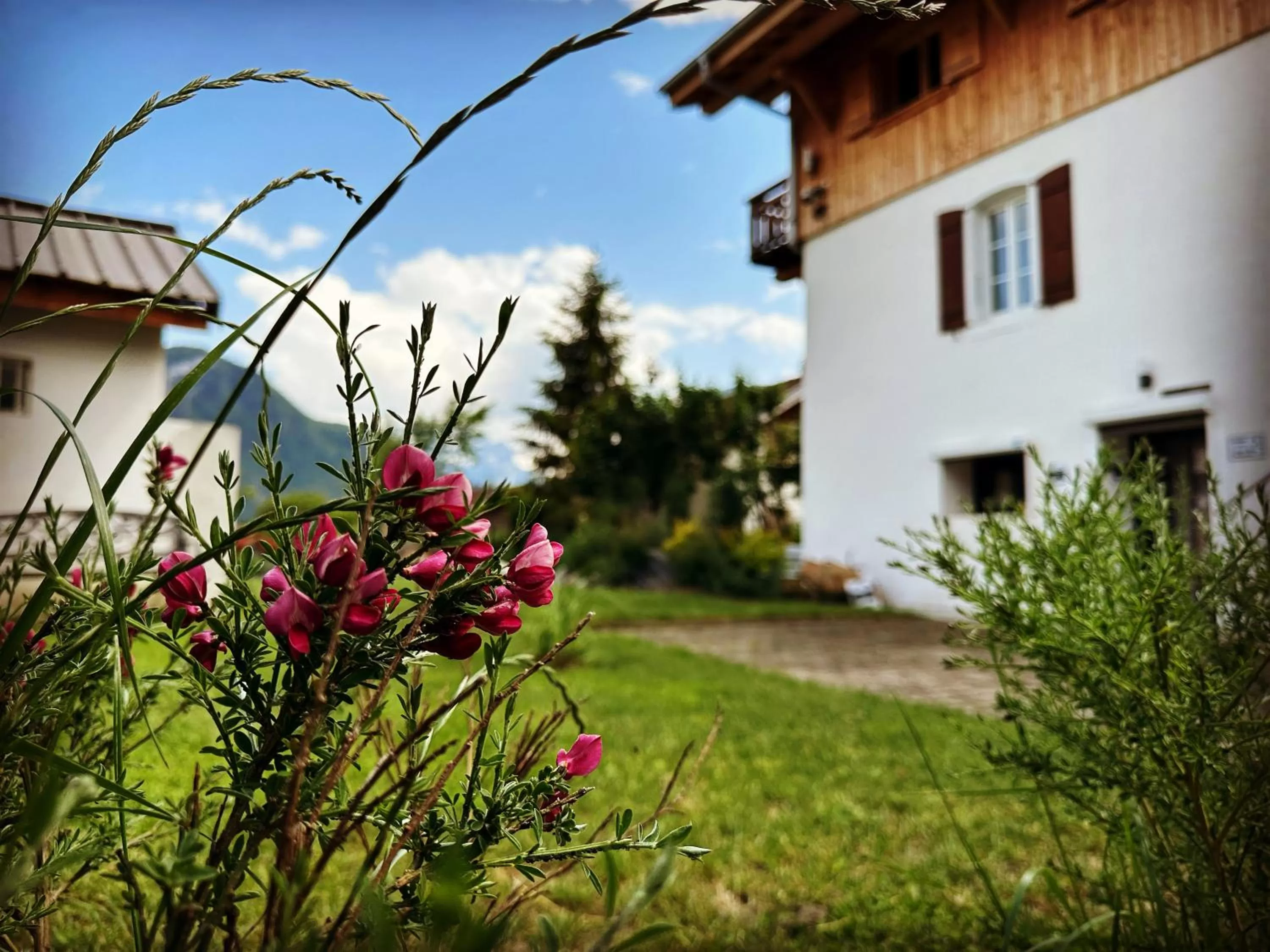 Garden, Property Building in La Villa d'Hélène 2 - Chambres d'hôtes BnB et Appartements - Cluses
