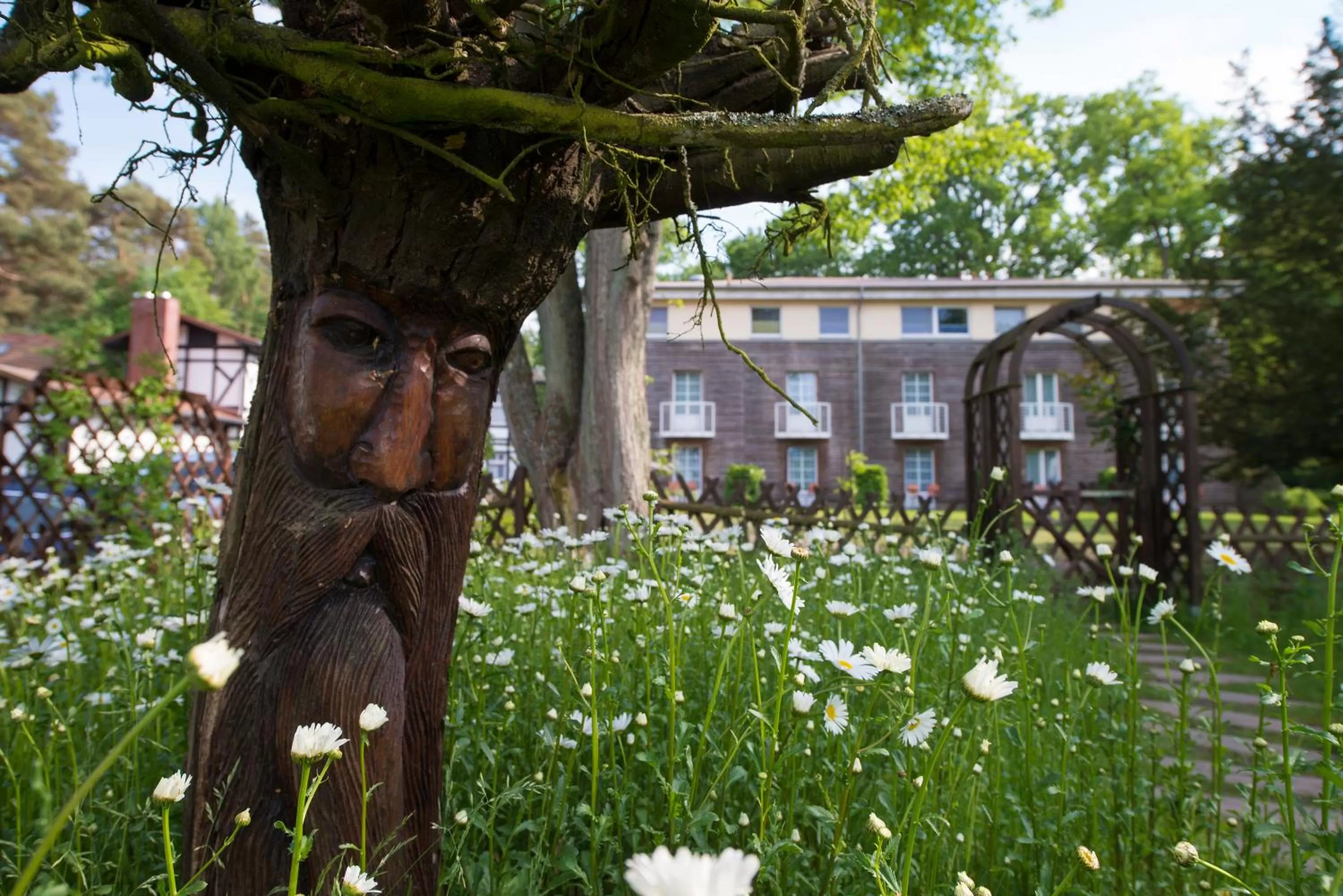 Bird's eye view in Best Western Plus Ostseehotel Waldschloesschen