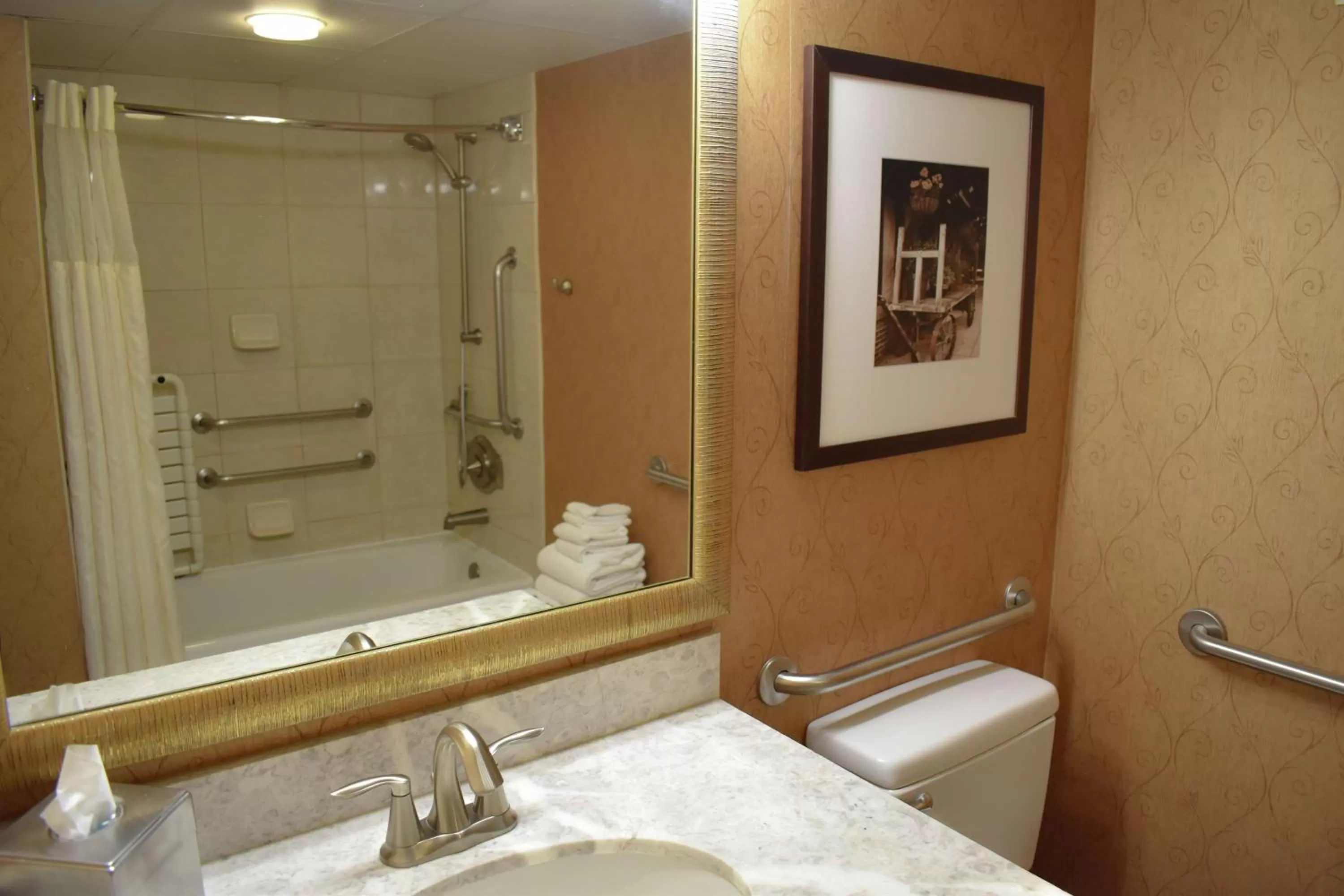 Bathroom in DoubleTree by Hilton Biltmore/Asheville