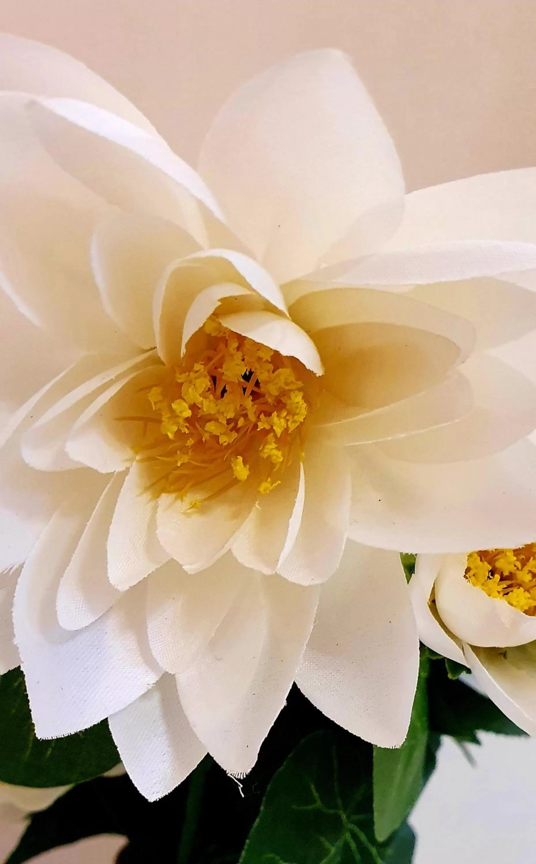 Antica Dimora Barocca