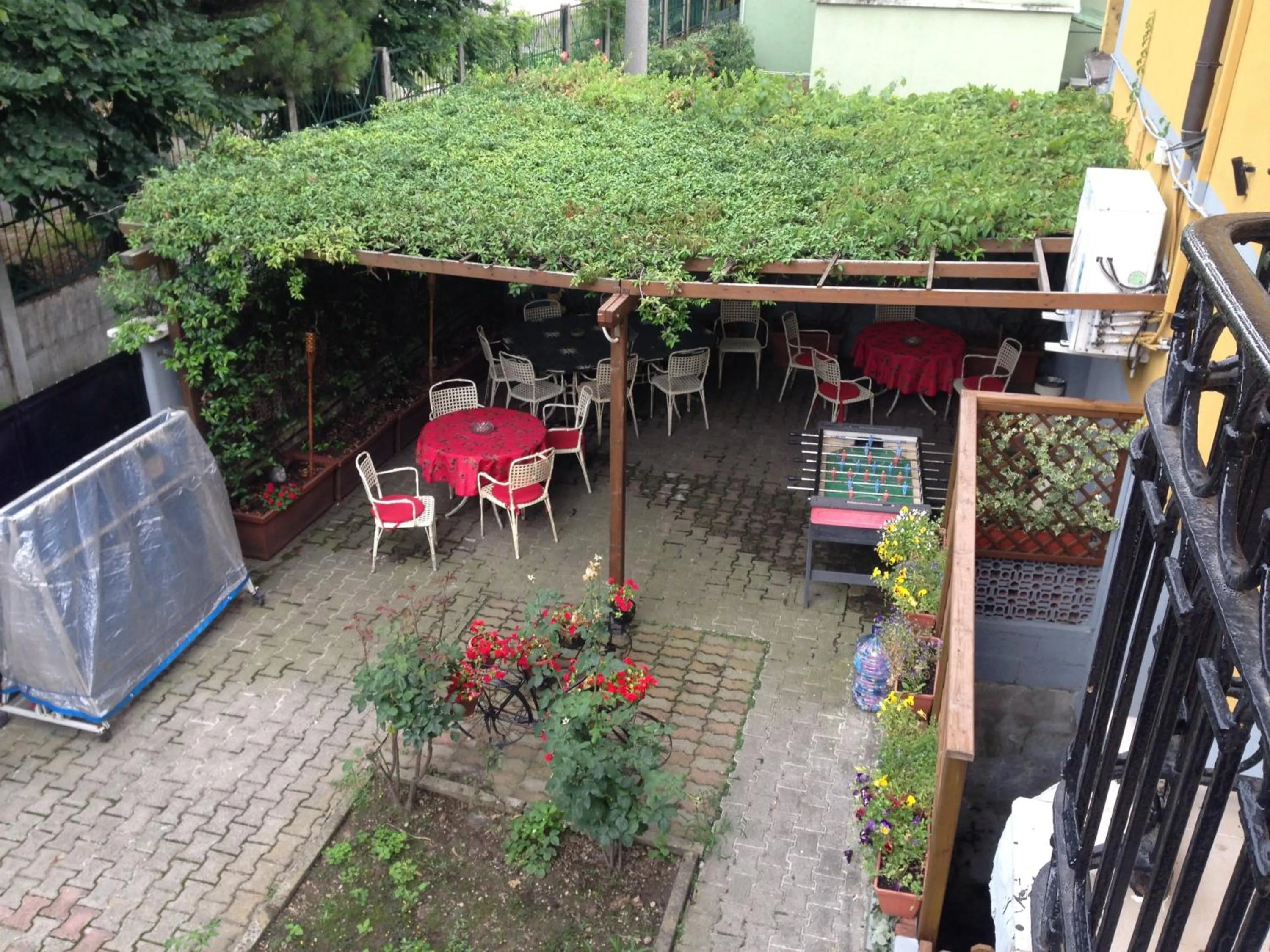 Garden in Hotel Bonola