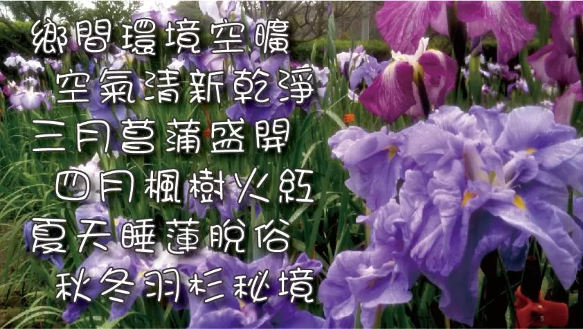 Off site in Rainbow Bridge B&B