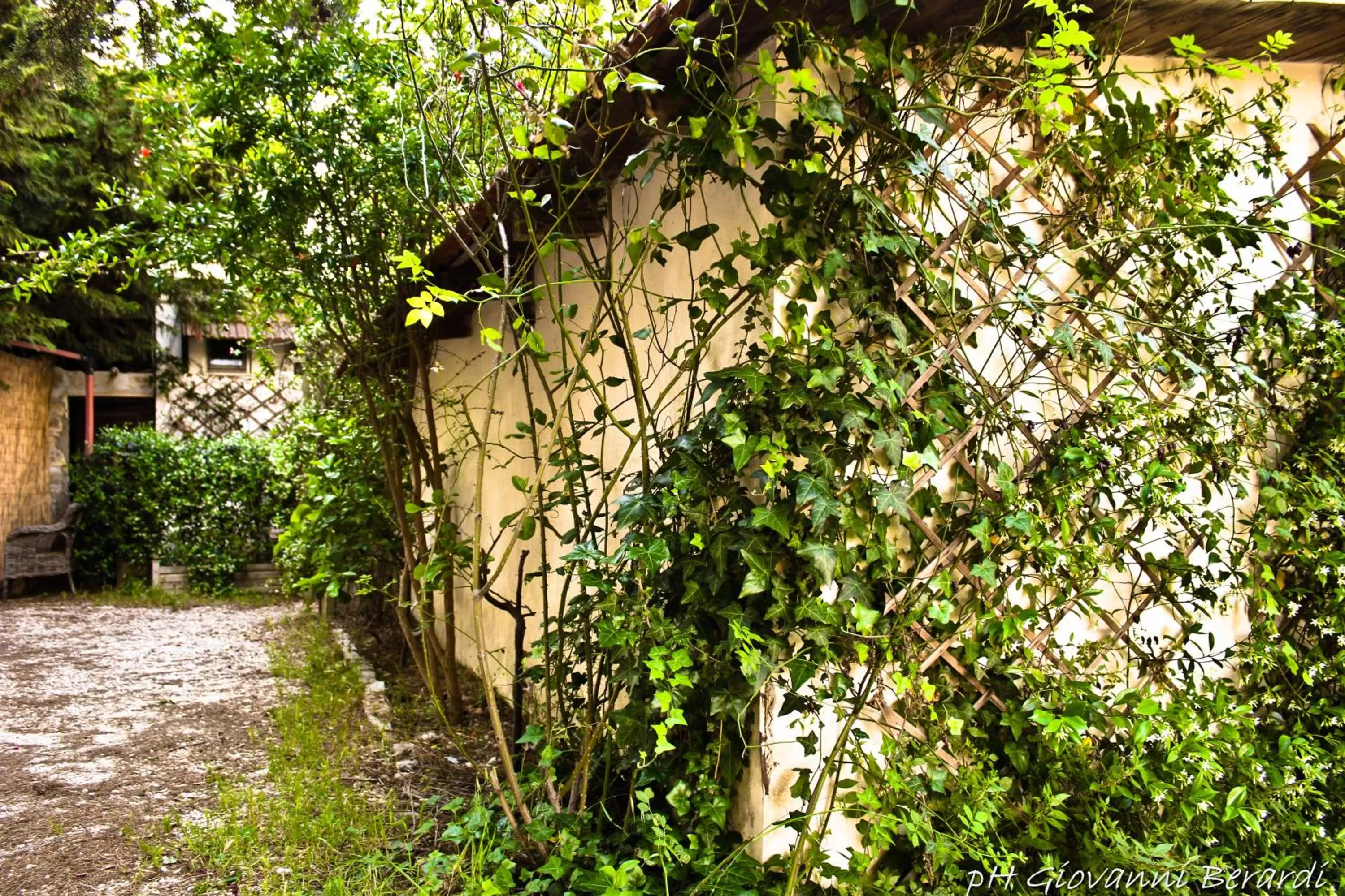 Facade/entrance, Patio/Outdoor Area in Albarosa