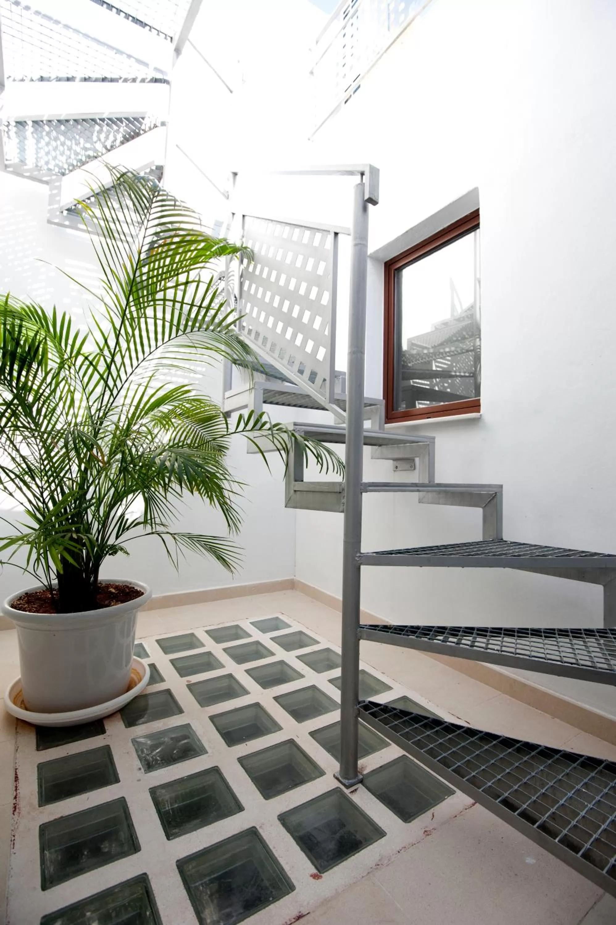 Area and facilities in Mardenit Hotel Boutique