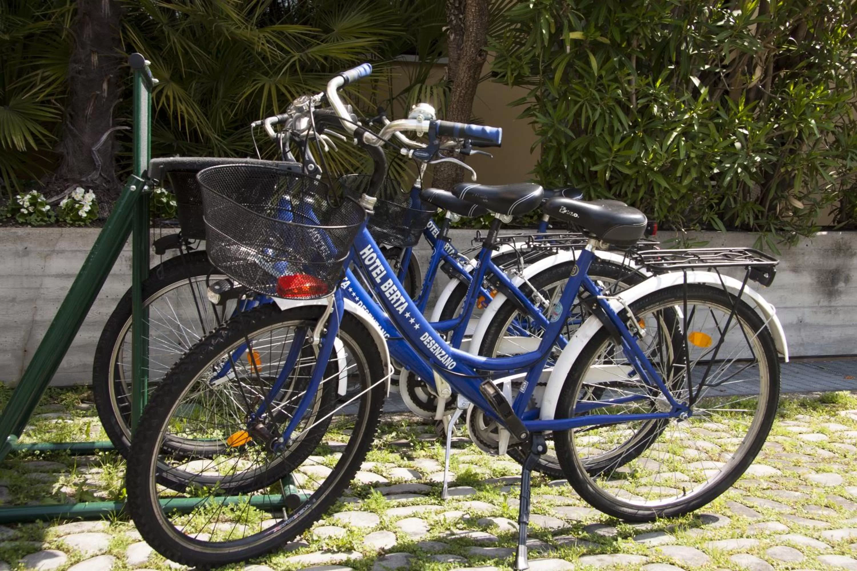 Cycling in Hotel Berta