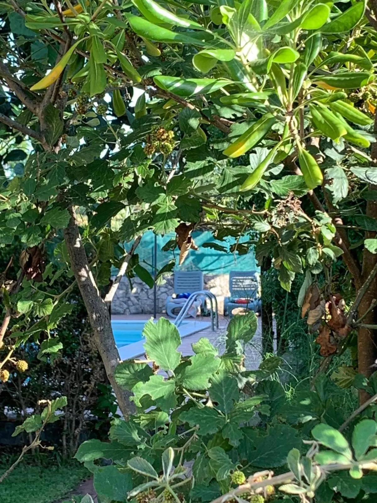 Pool View in A Due Passi Da