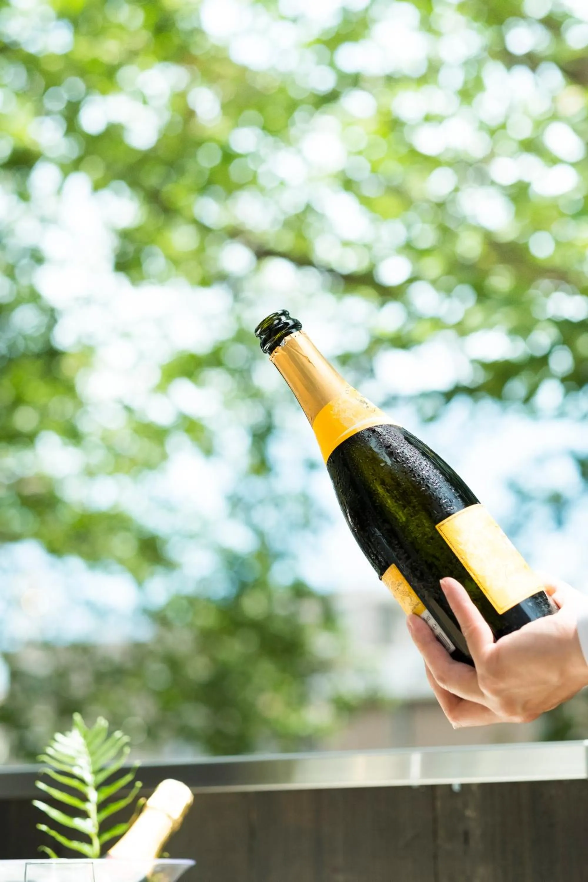 Balcony/Terrace in EN HOTEL Fujisawa