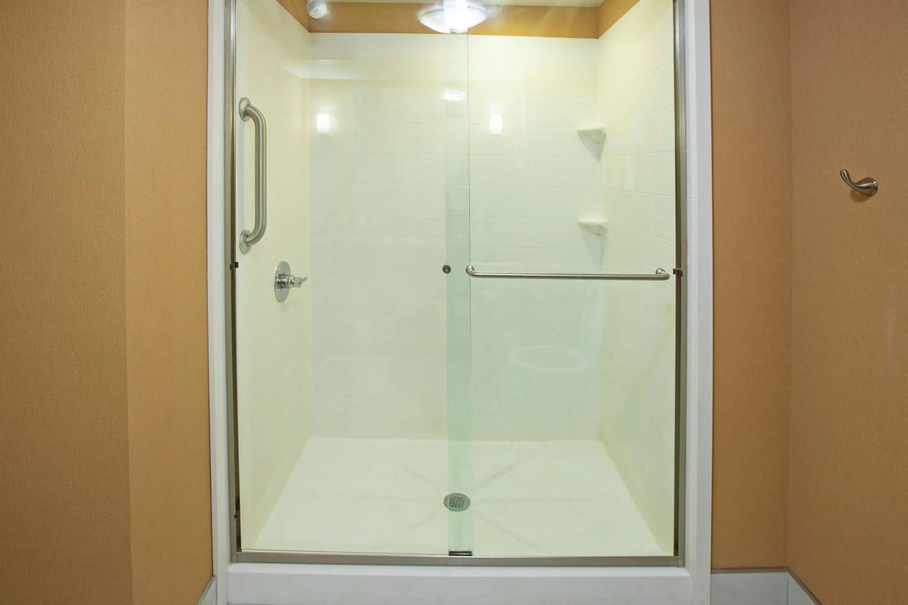 Bathroom in Hampton Inn Elizabethtown