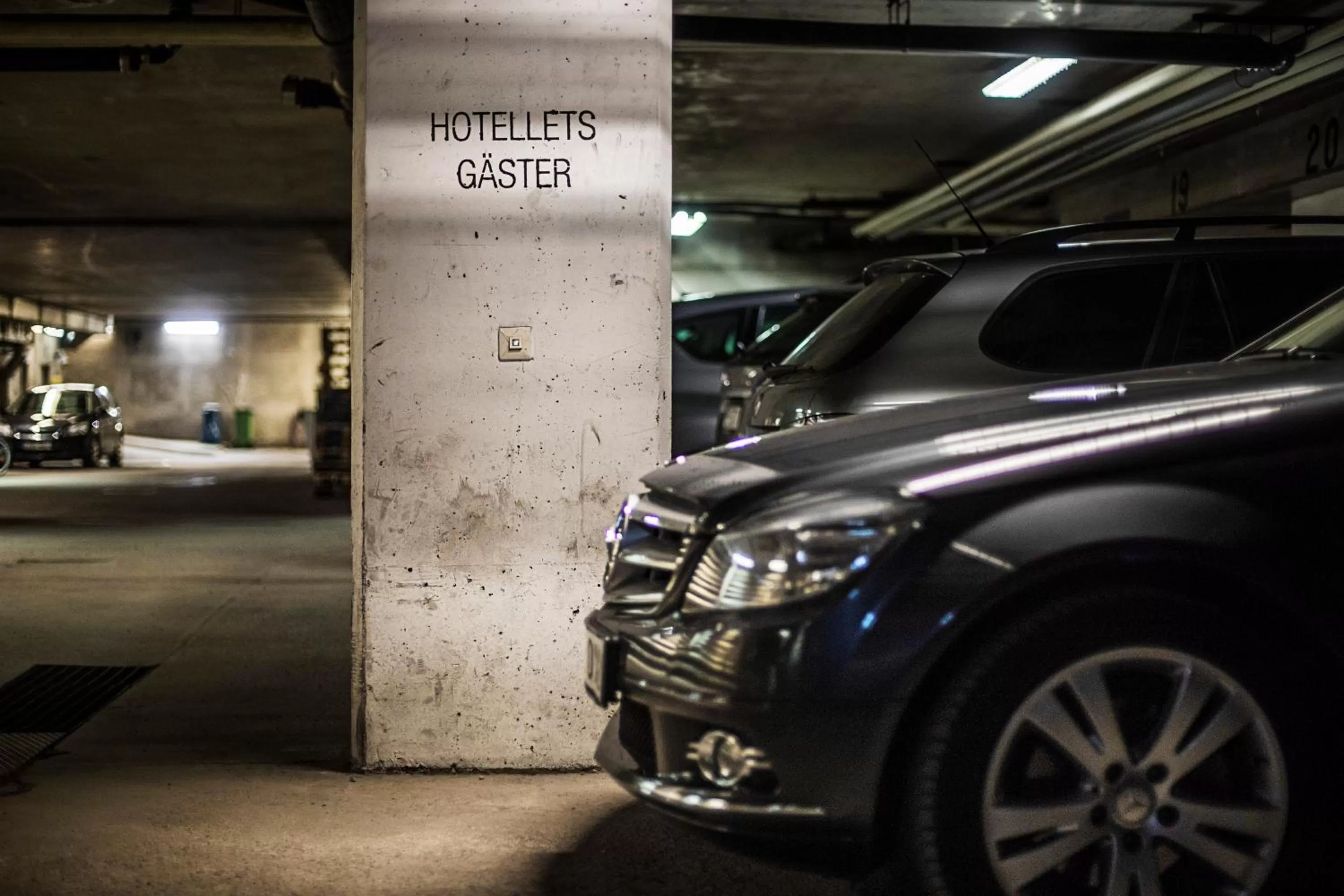 Area and facilities in First Hotel Witt