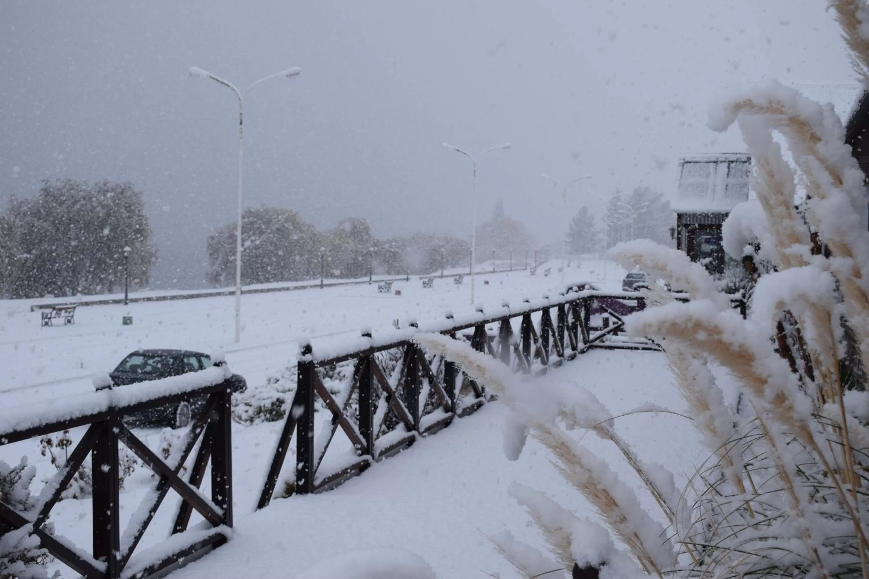 Winter in Hotel Mora