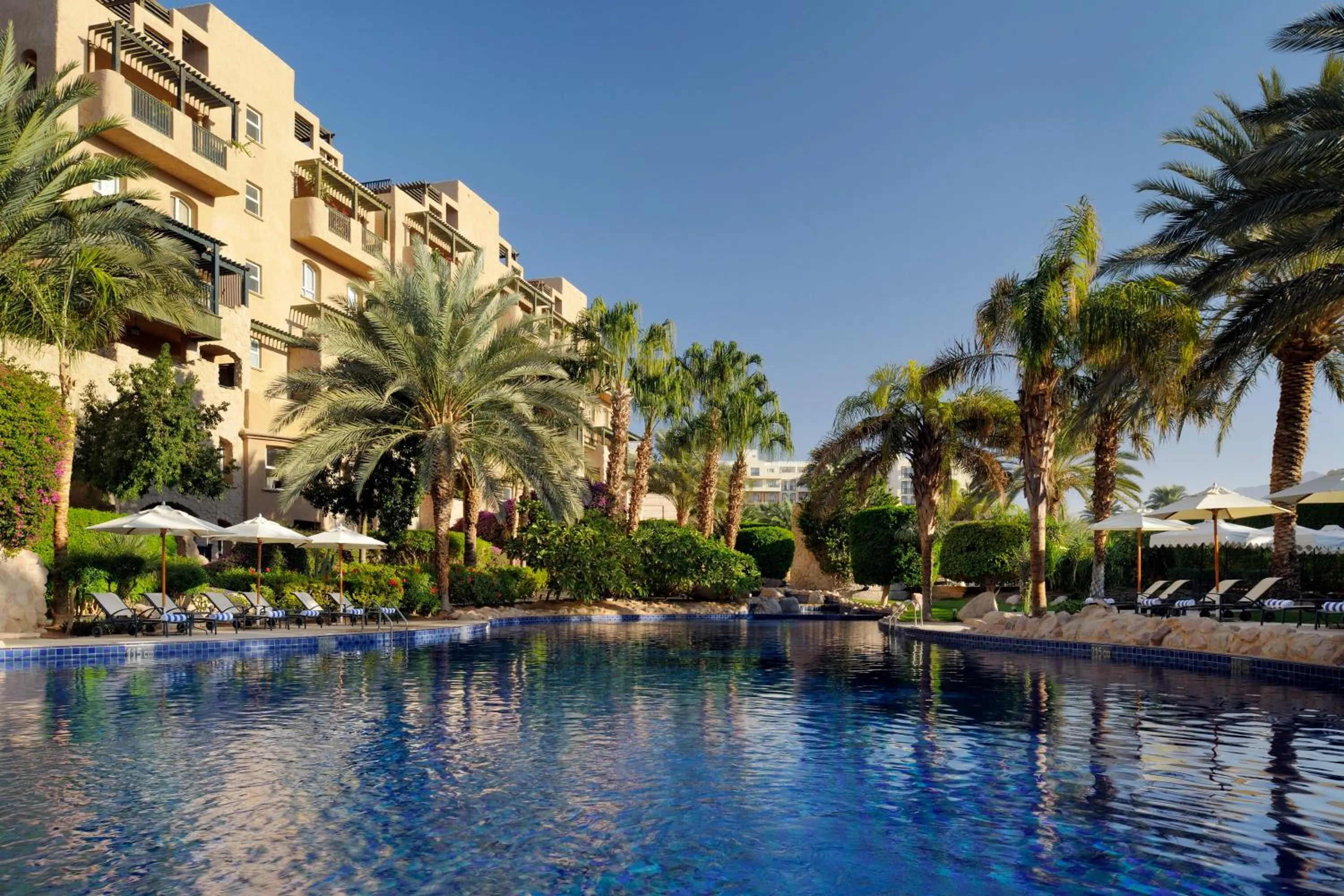 Swimming pool in Mövenpick Resort & Residences Aqaba
