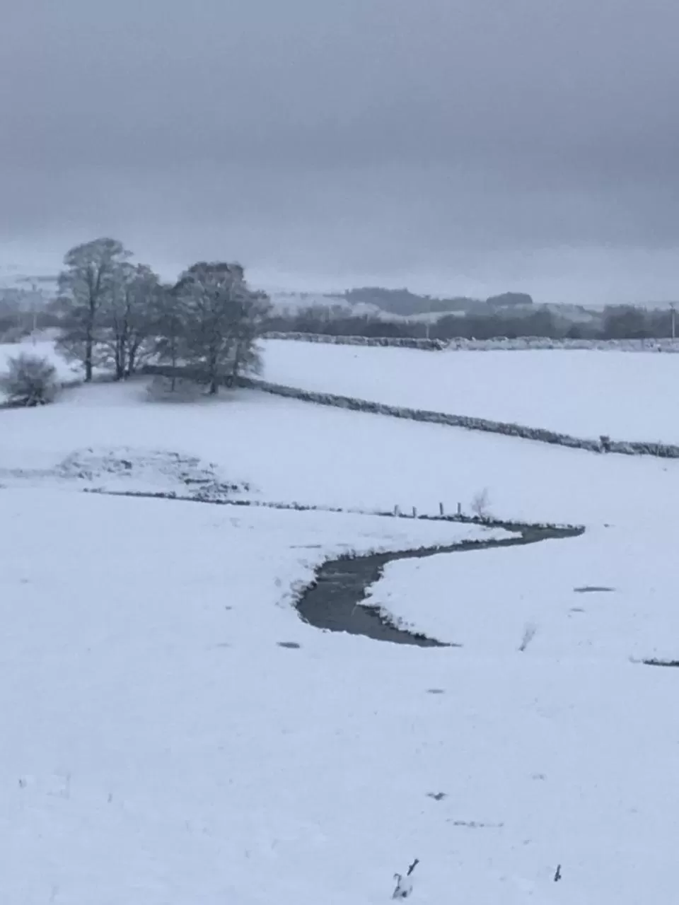 Natural landscape in Craiglands Bed and Breakfast, Grassington