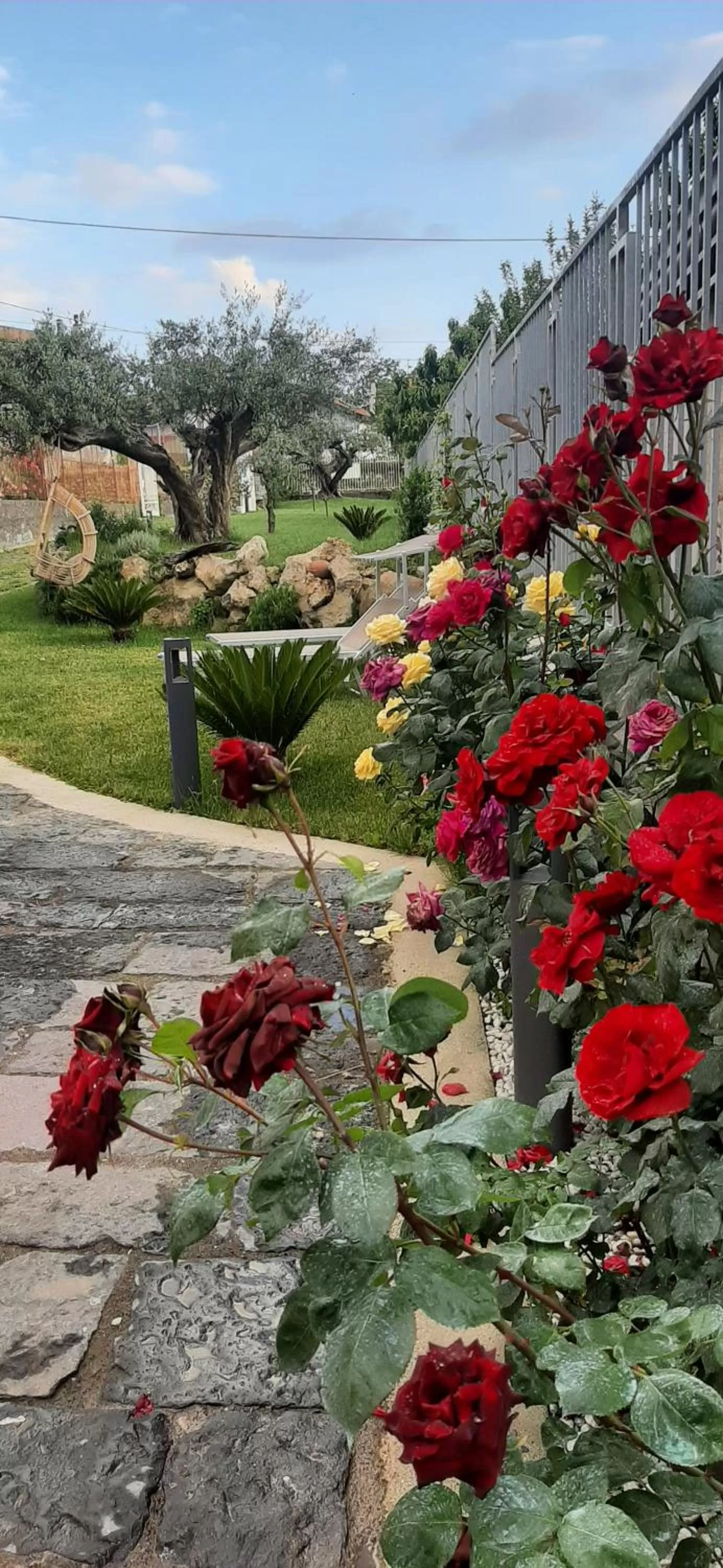 Garden in Al Chiaro di Luna