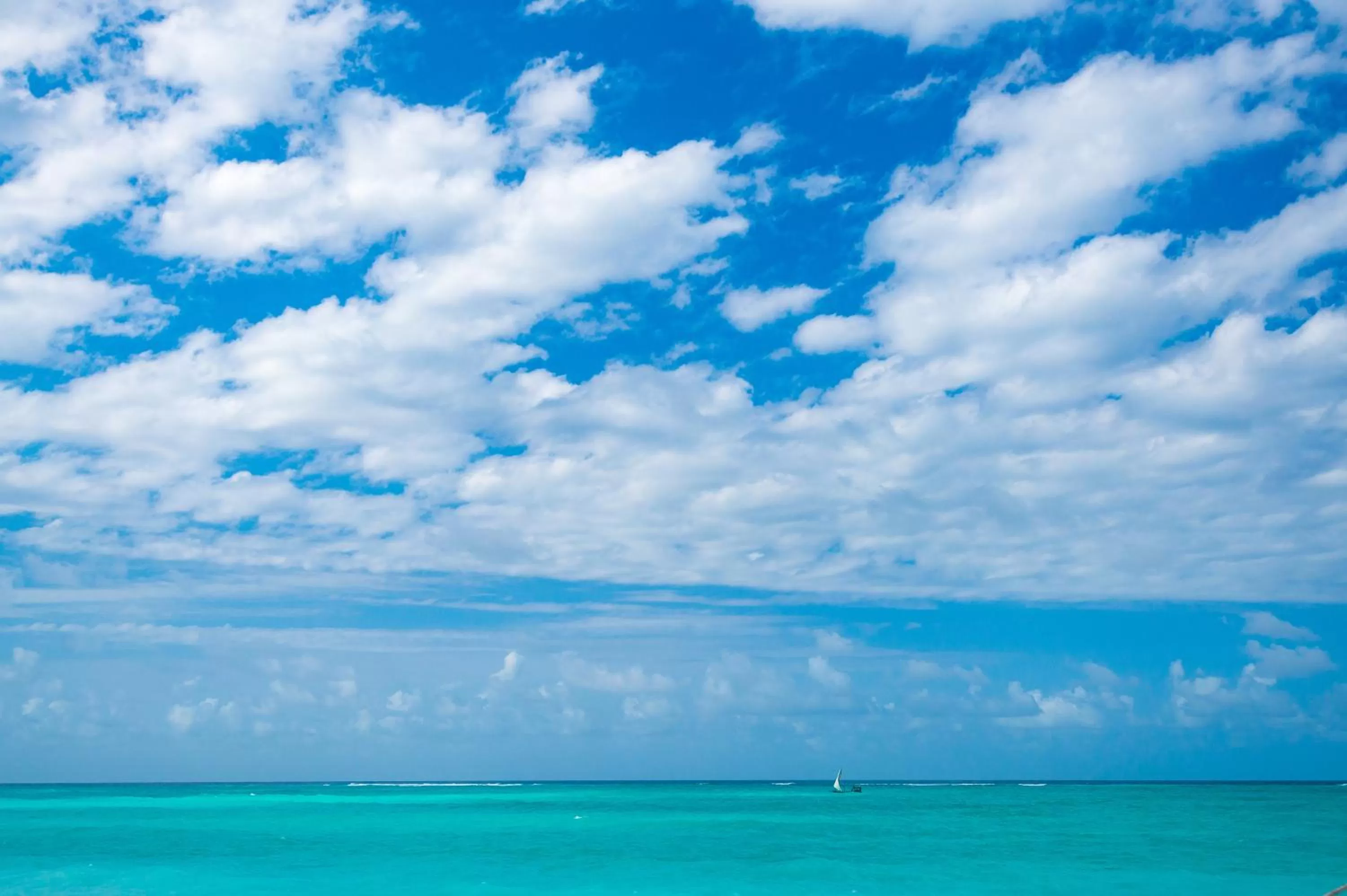Sea view, Natural Landscape in Warere Beach