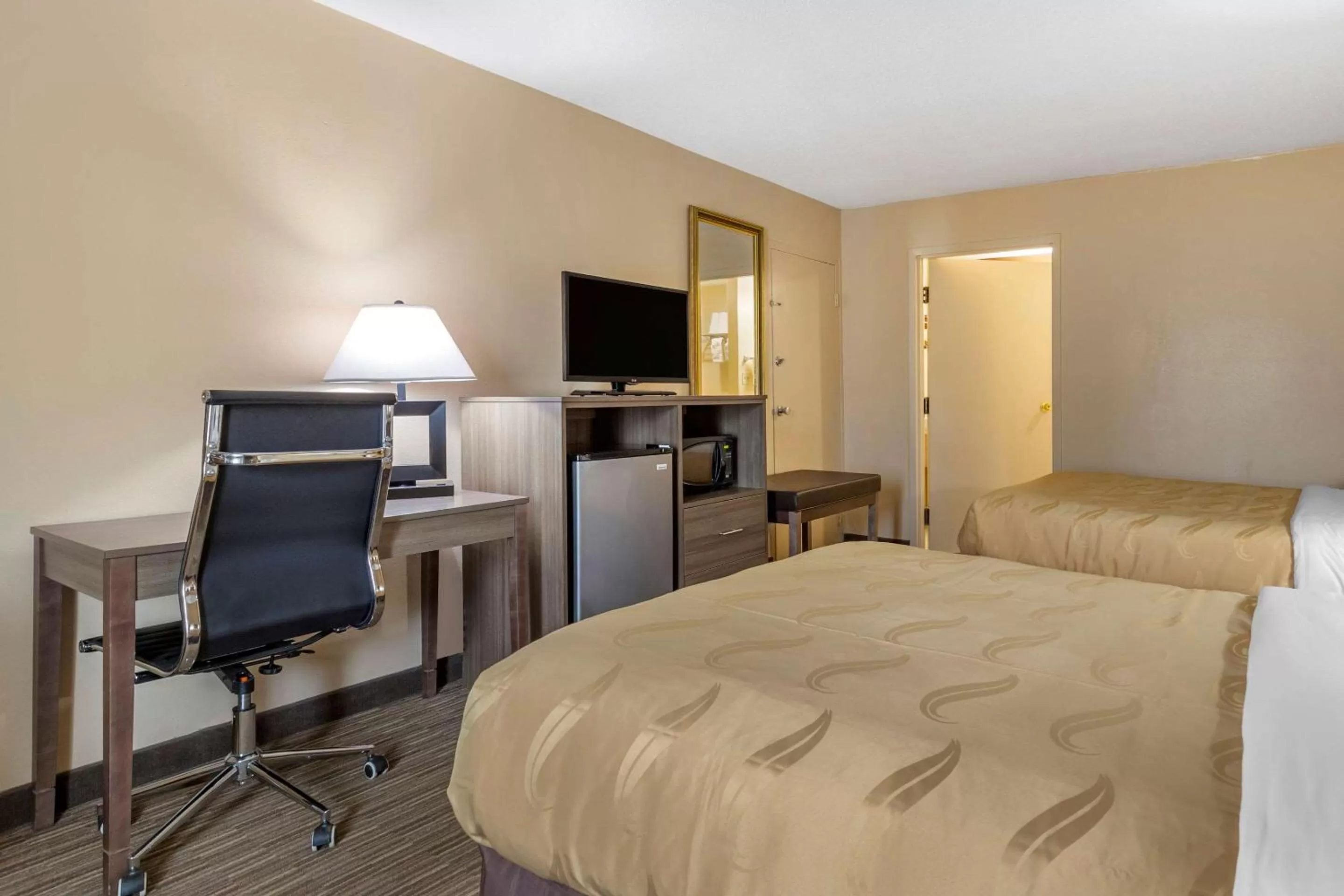 TV and multimedia, Bed in Quality Inn & Suites Hanes Mall