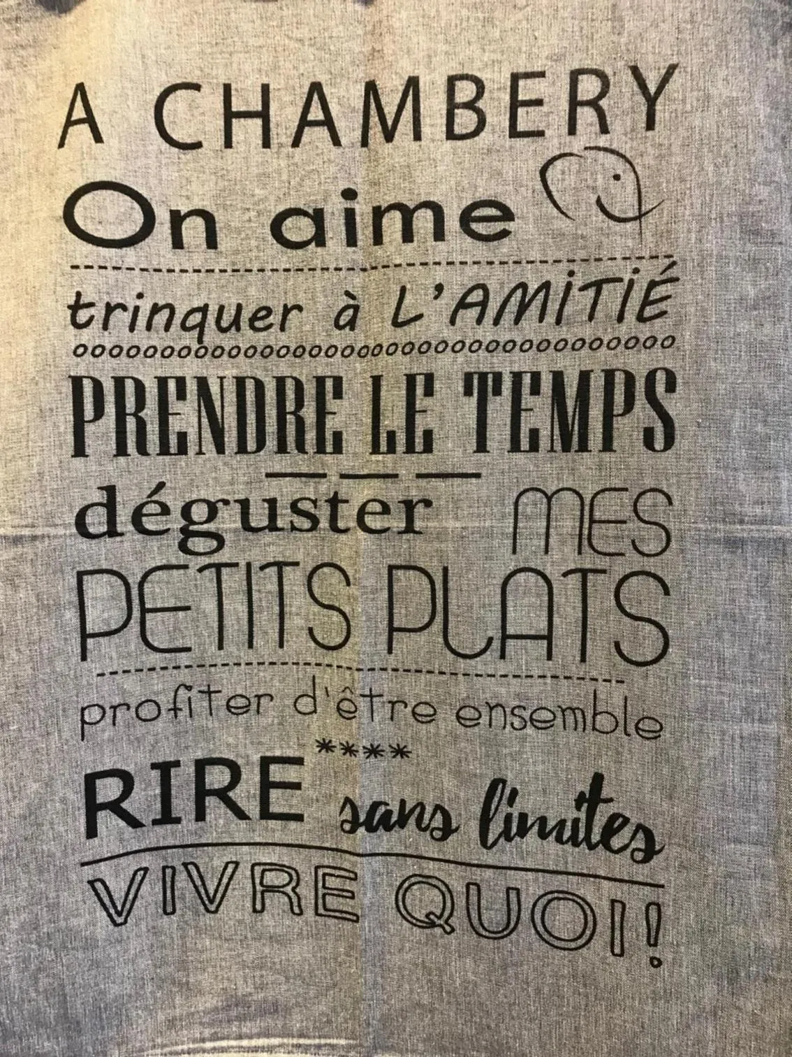 Decorative detail in Ibis Styles Chambery Centre Gare