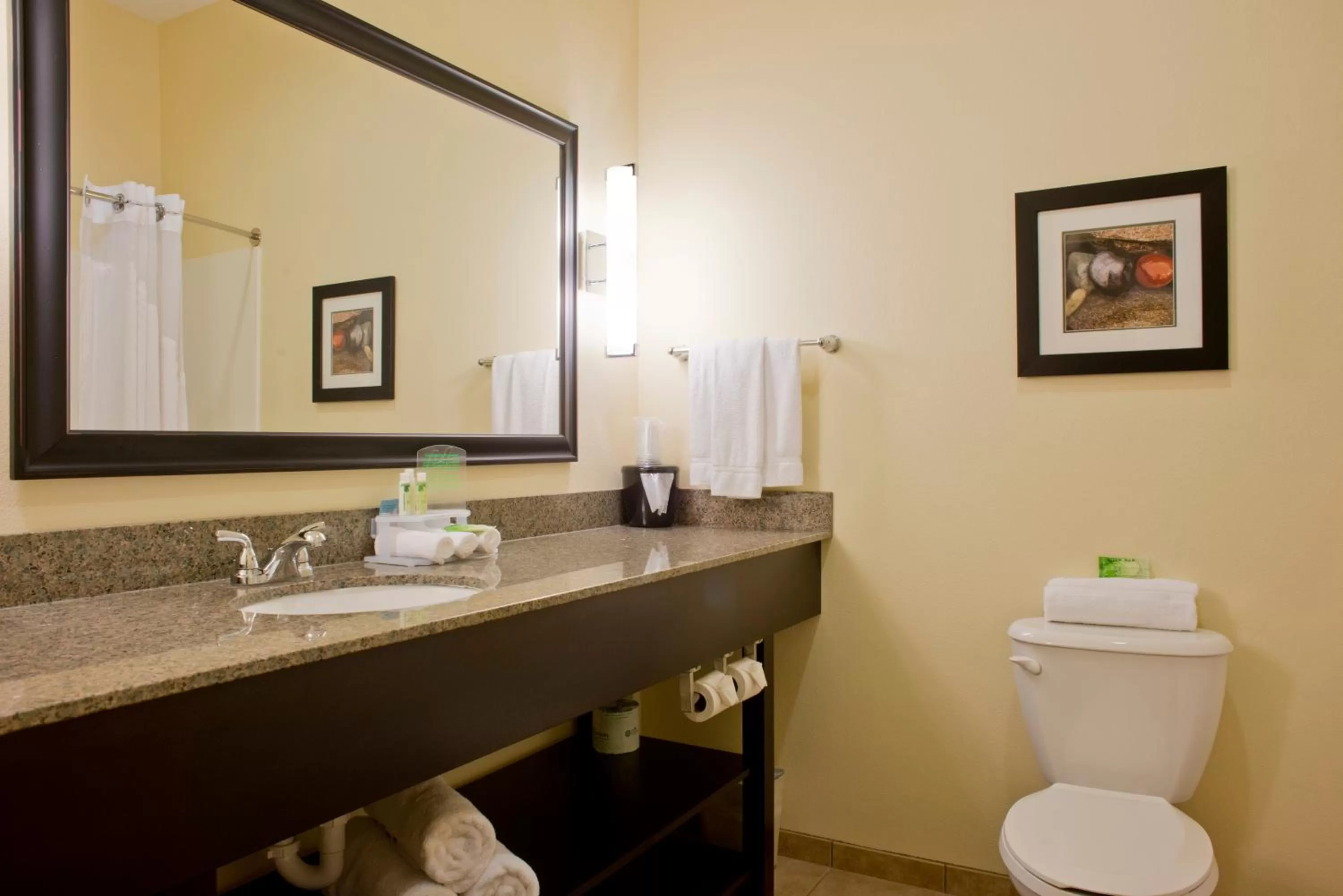 Bathroom in Holiday Inn Express Hotel & Suites Prattville South by IHG