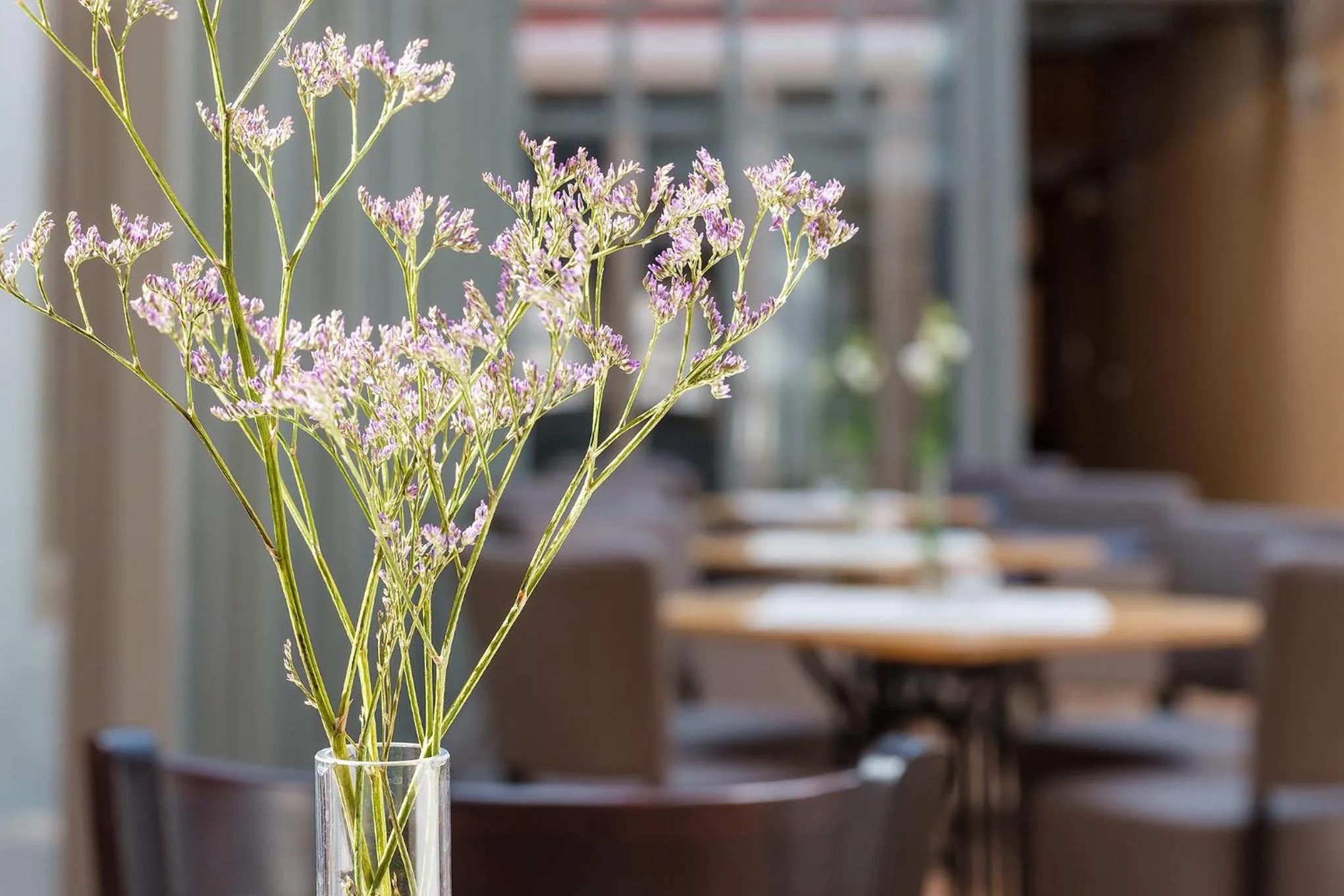 Restaurant/places to eat in Hotel Arminius