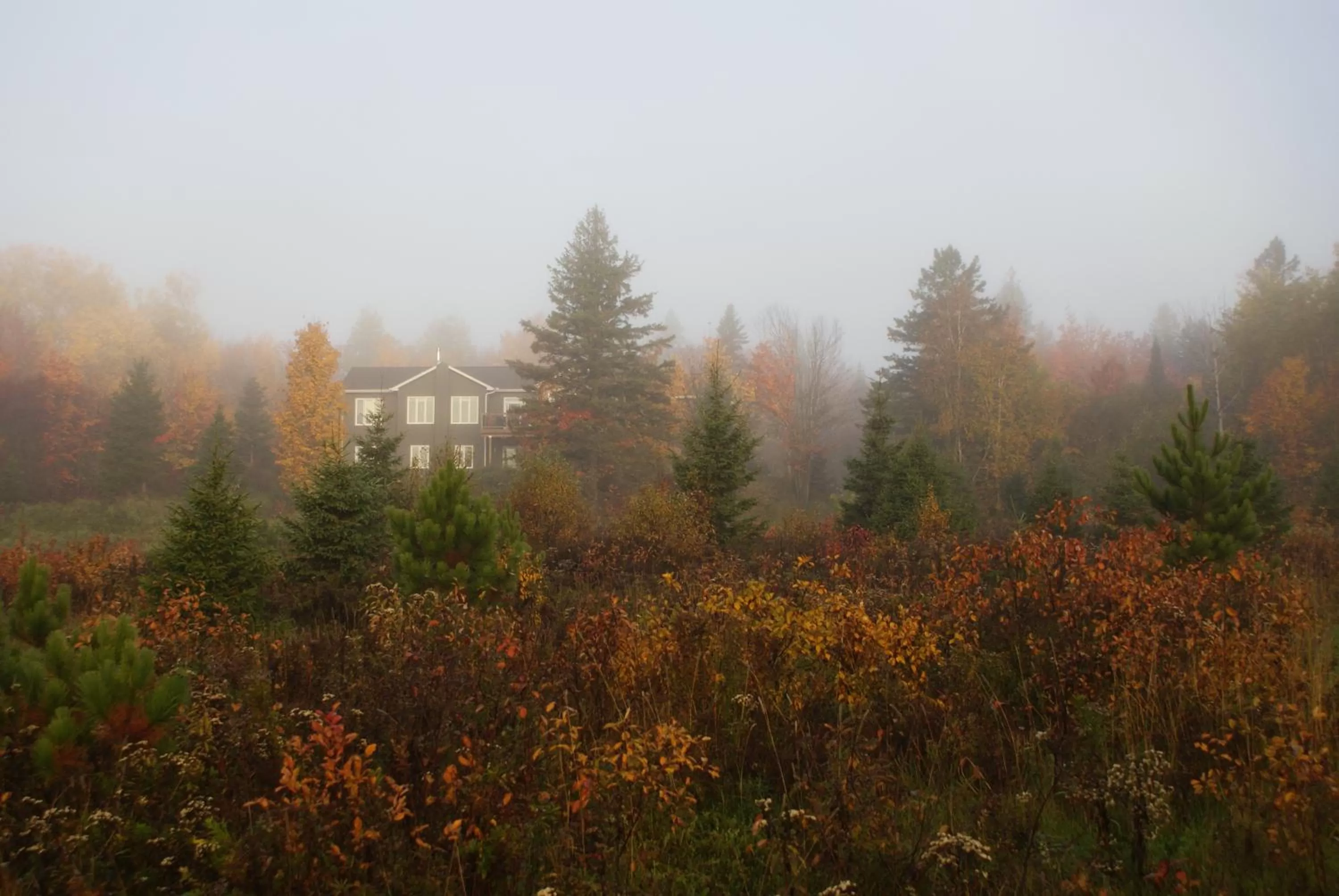 Top of Algonquin Bed and Breakfast