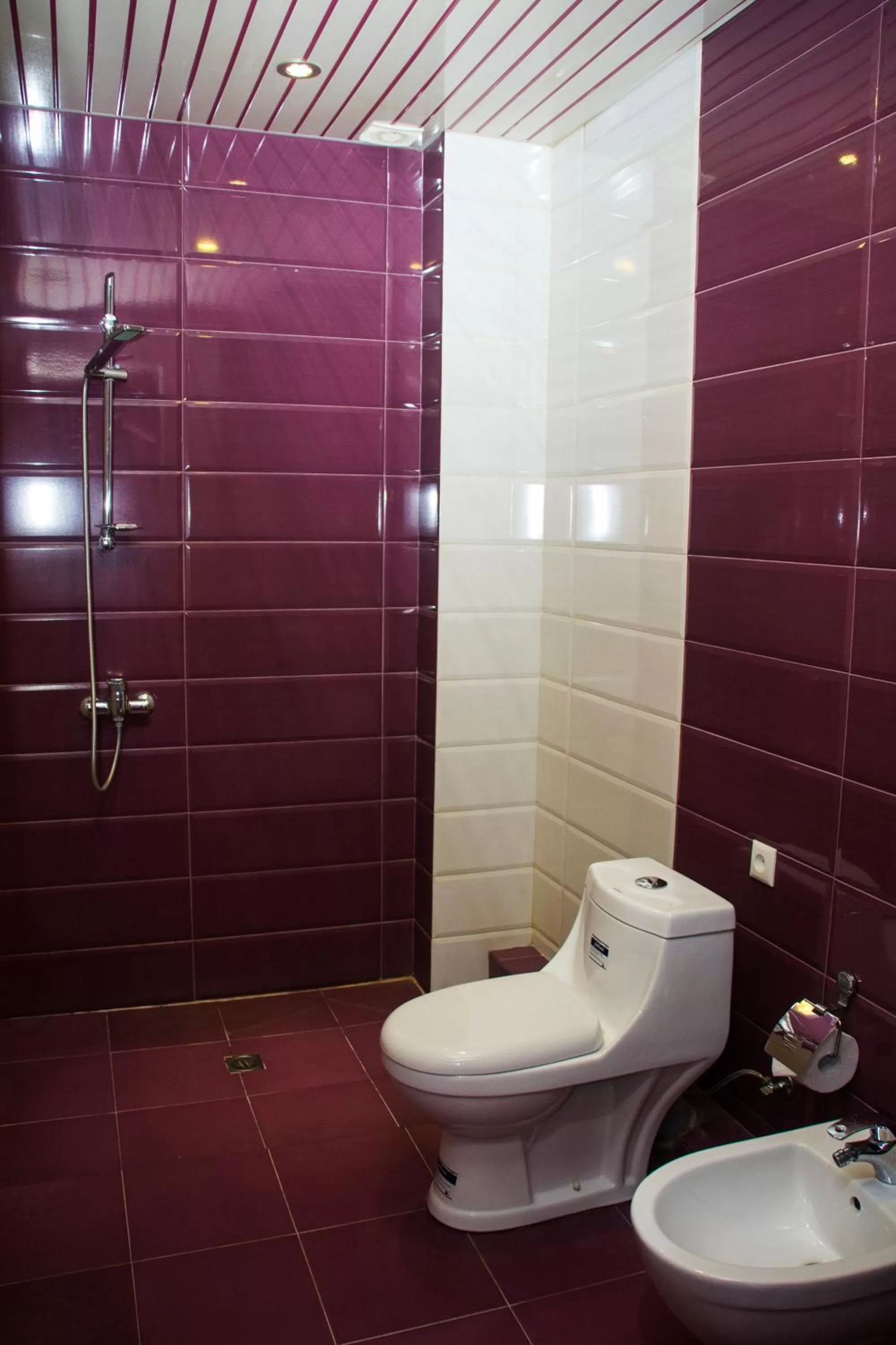 Shower, Bathroom in Mirage Hotel