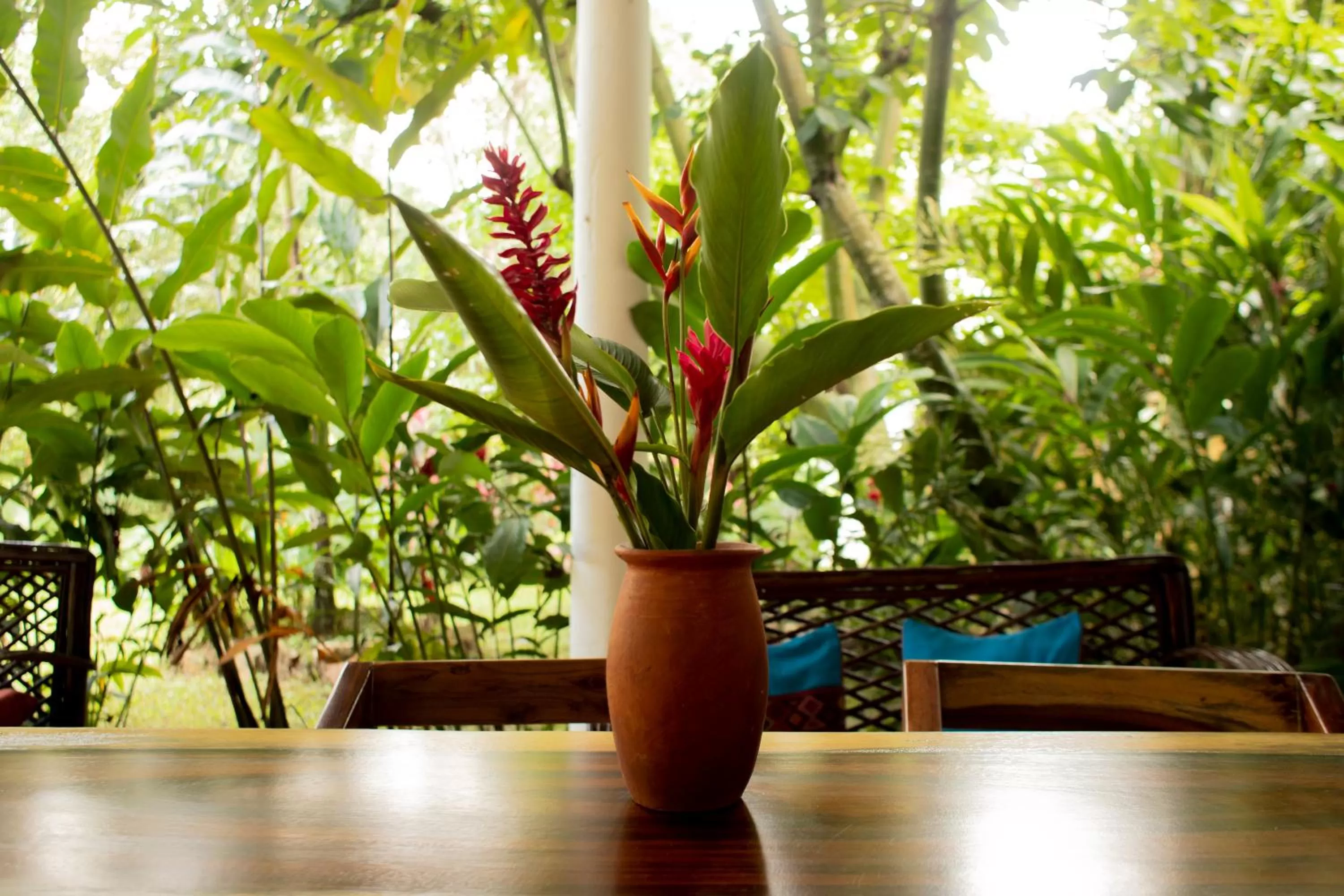 Natural landscape in Hotel La Aldea del Halach Huinic