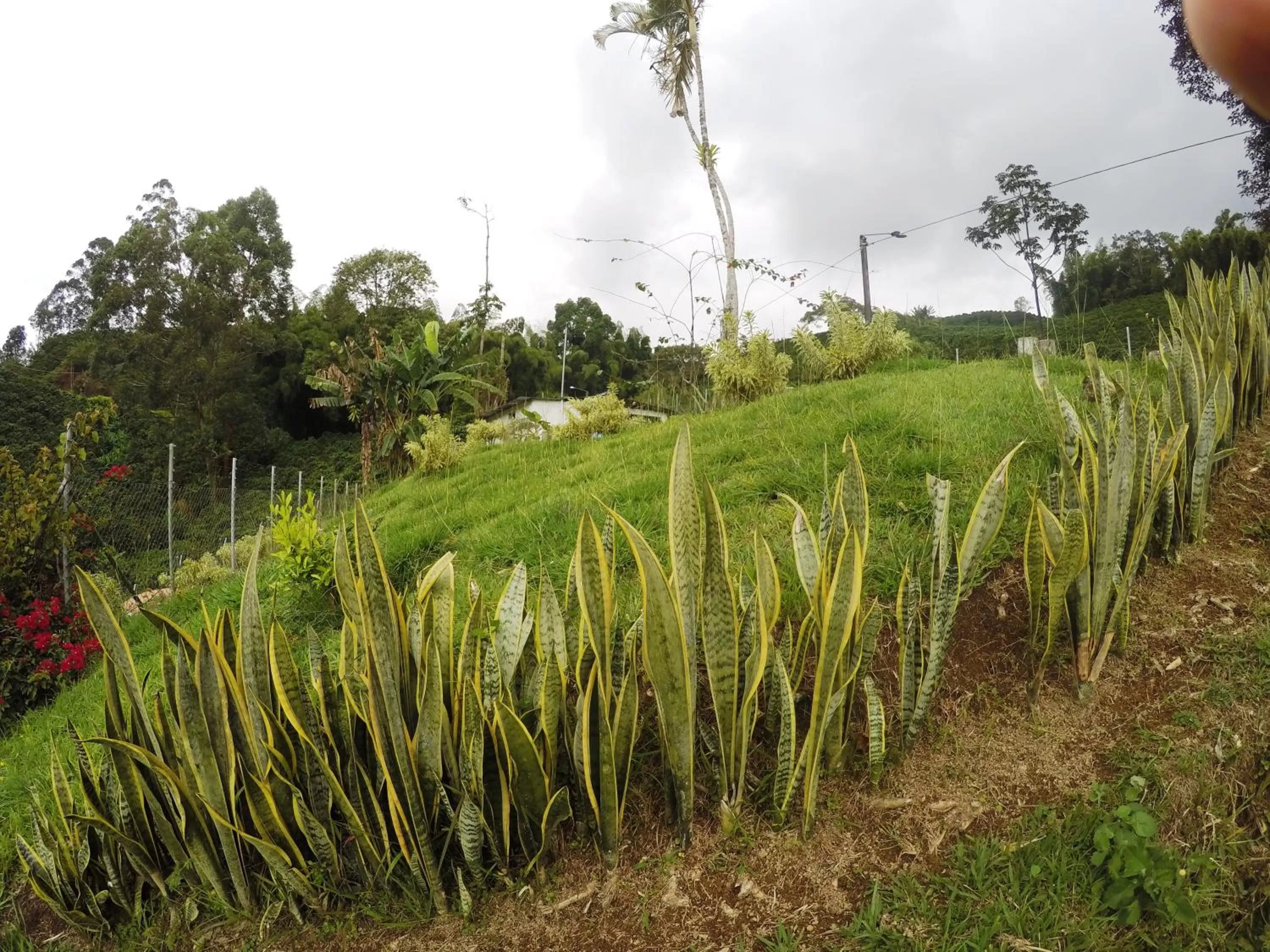 Hiking in Sky Club Eco Hotel