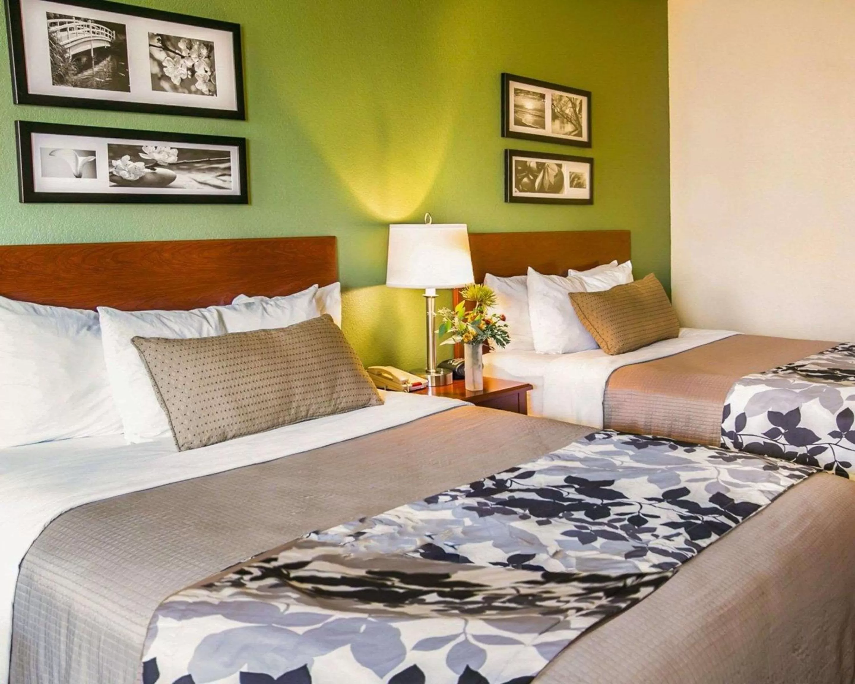 Photo of the whole room, Bed in Sleep Inn & Suites Gonzales near Palmetto State Park