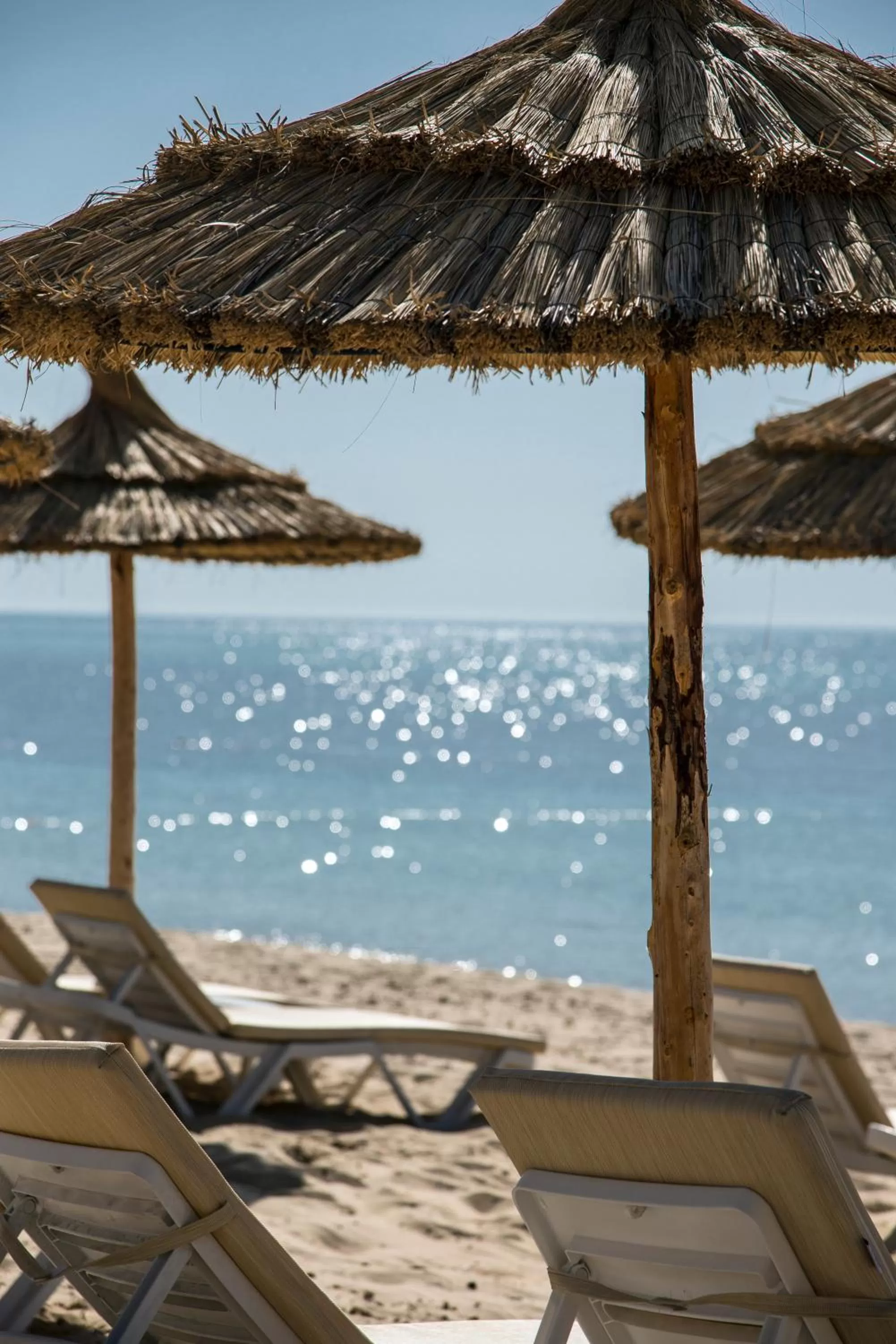Beach in Radisson Blu Resort & Thalasso Hammamet