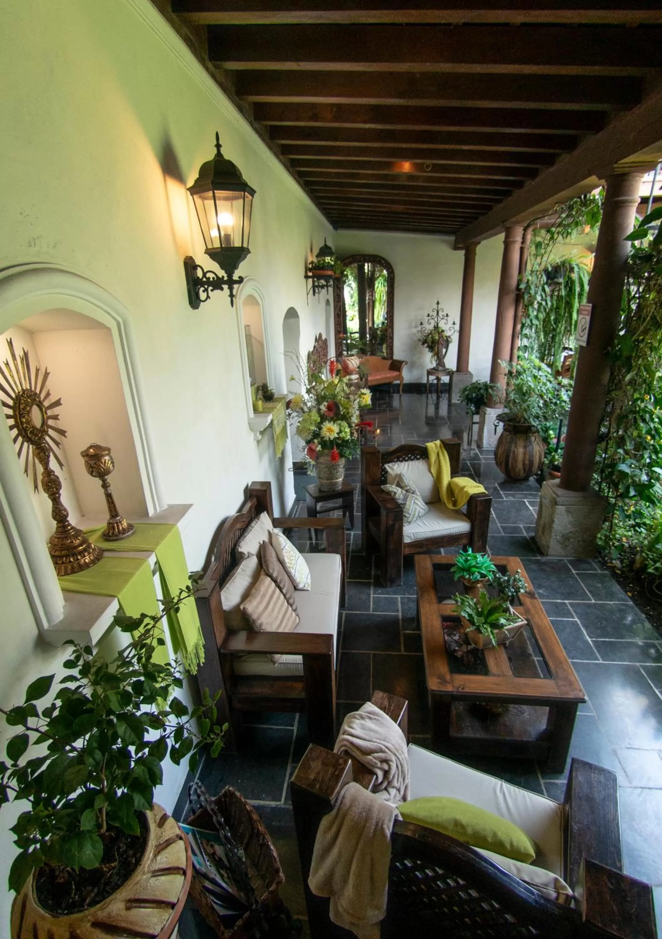 Garden in Hotel La Catedral