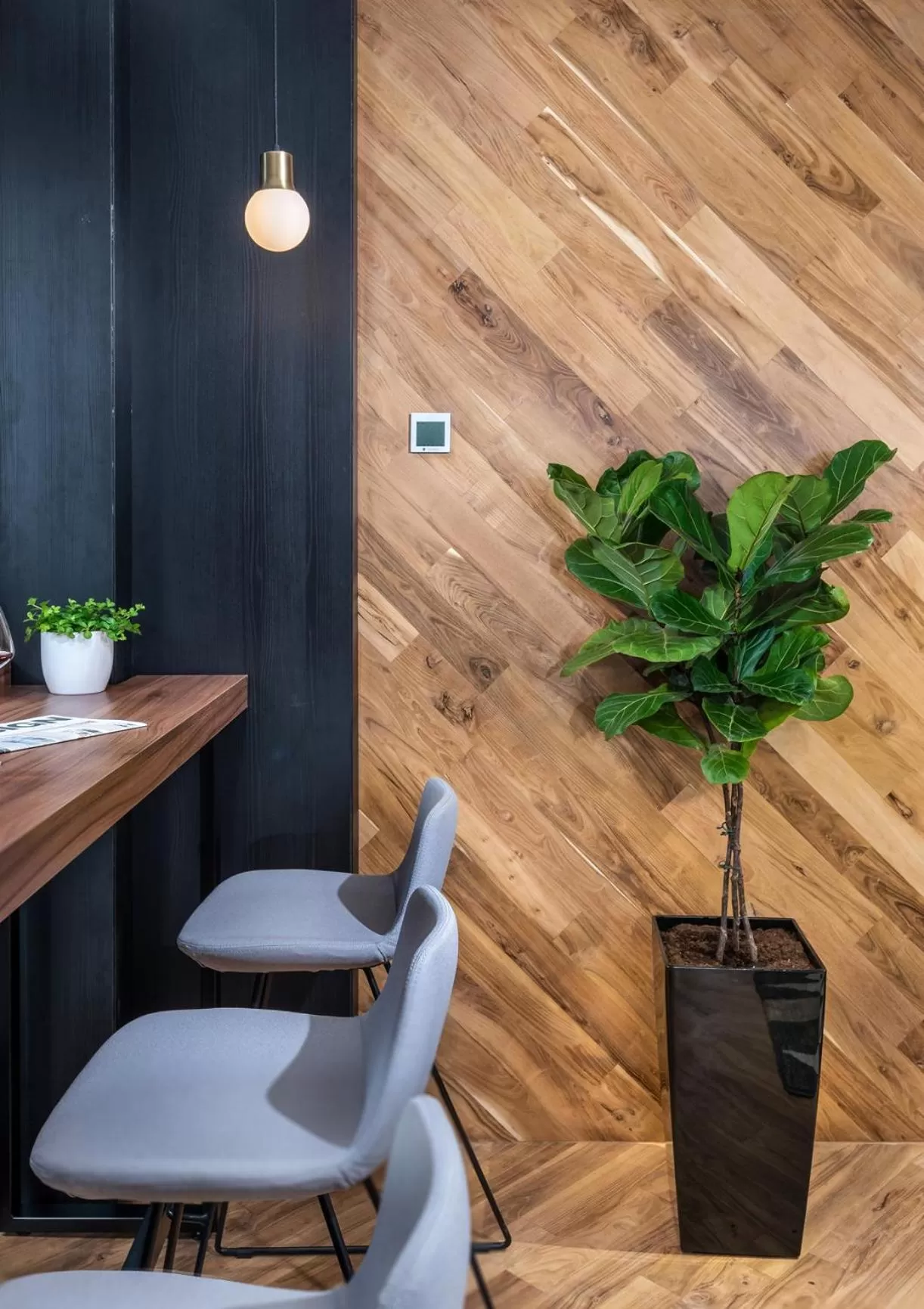 Lounge or bar in Hotel Tim's