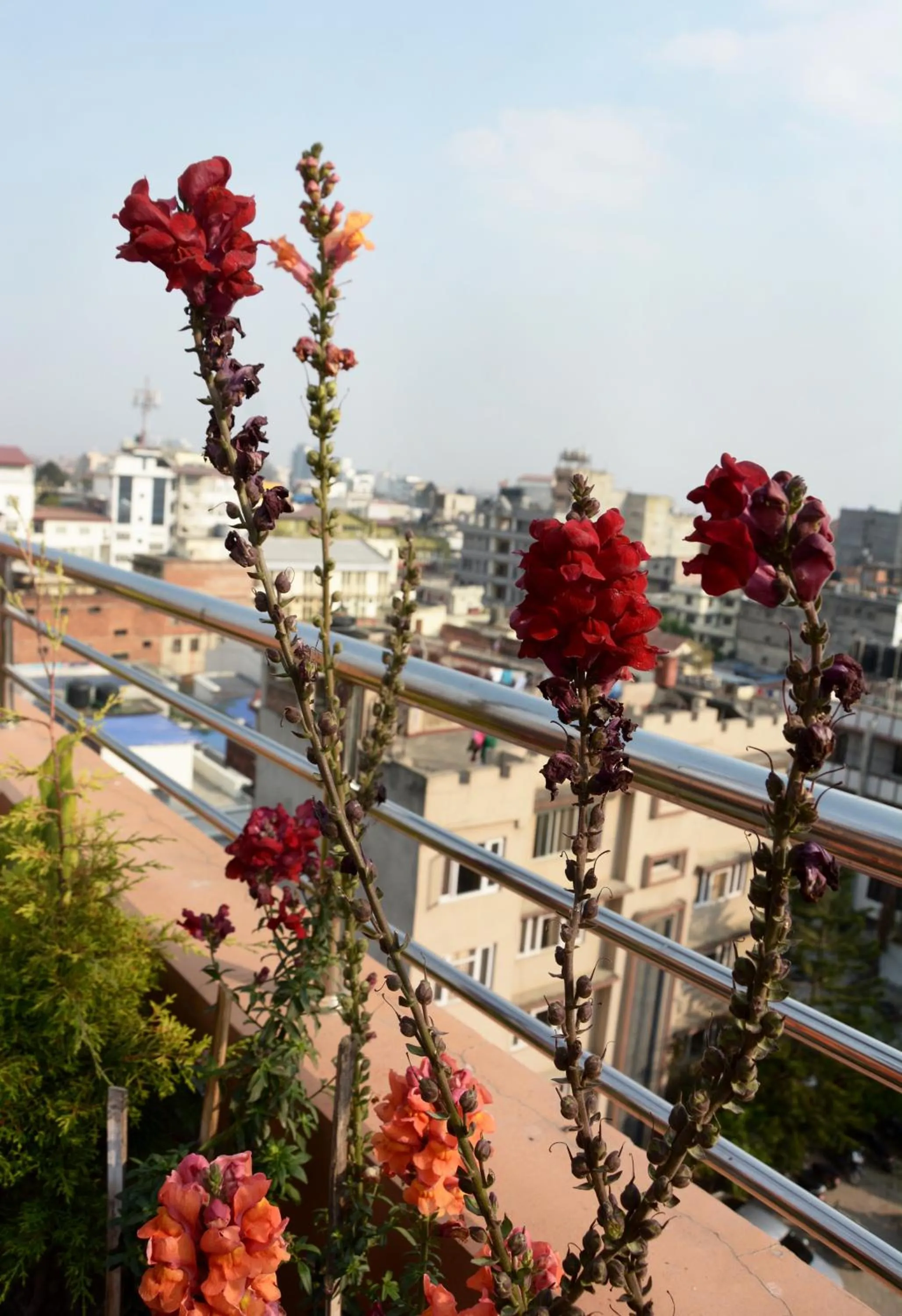 Day in Kasthamandap Boutique Hotel