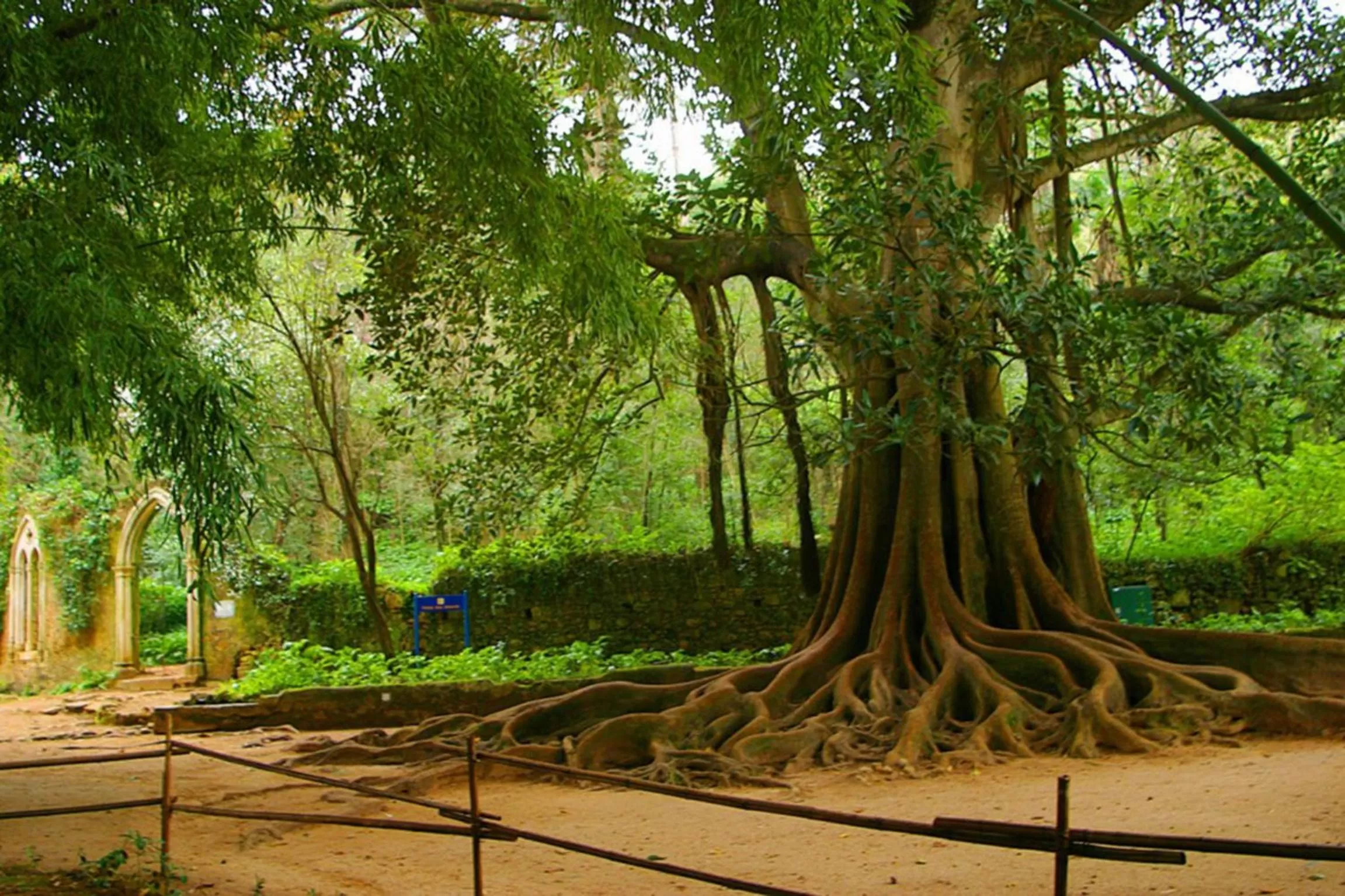 Garden in Hotel Quinta das Lagrimas - Small Luxury Hotels