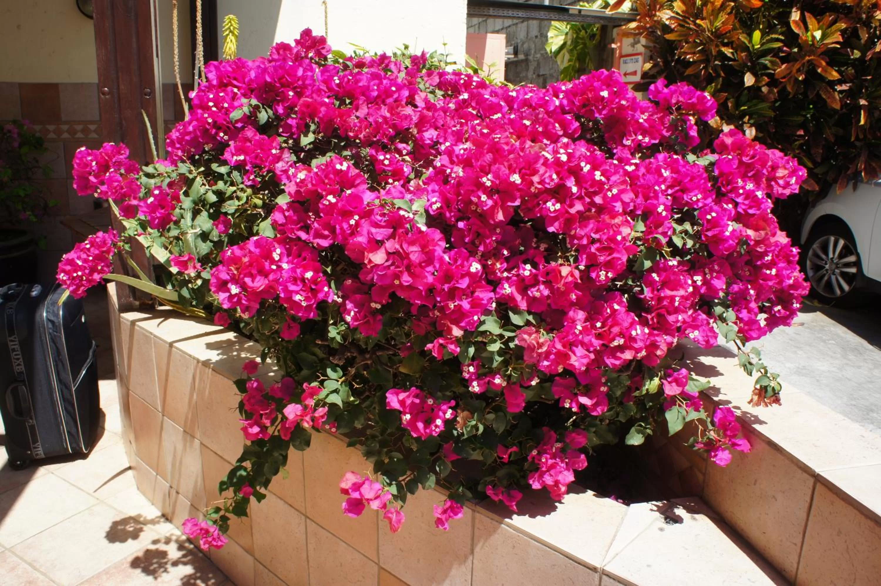 Other in Central Hotel