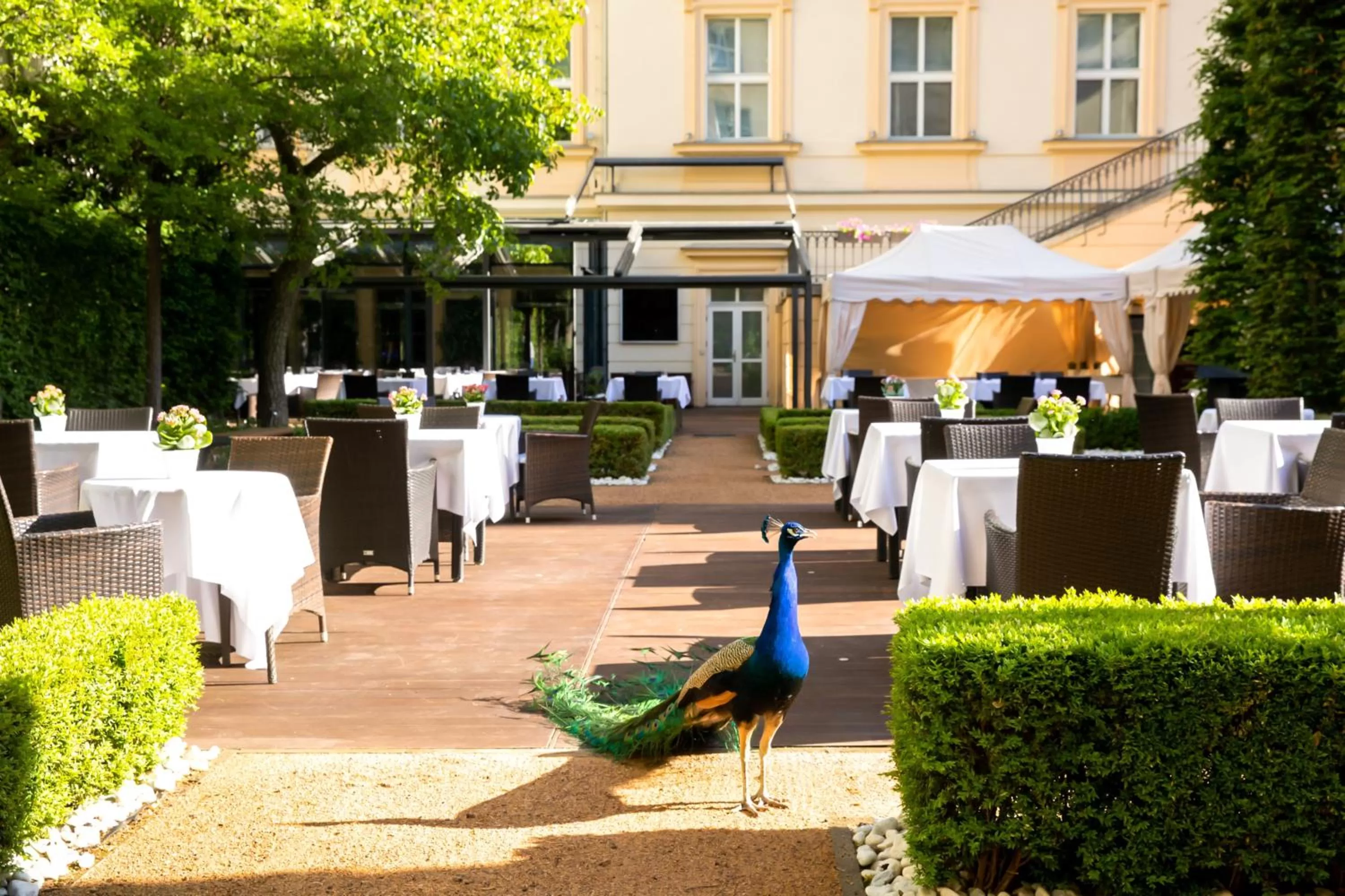 Garden in The Grand Mark Prague - The Leading Hotels of the World
