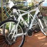 Cycling in B&B Luce Viola