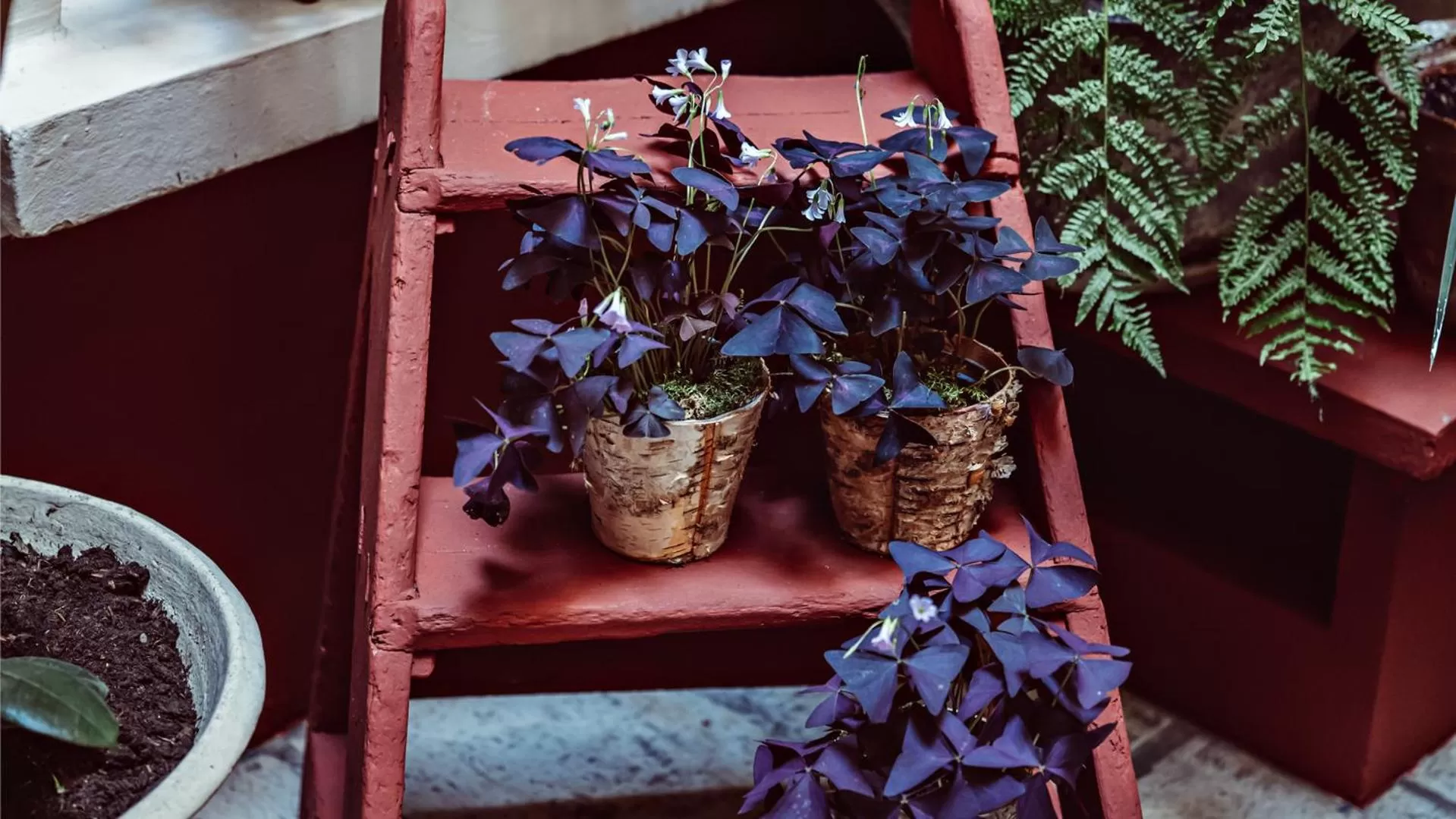 Decorative detail in Maison Saintonge