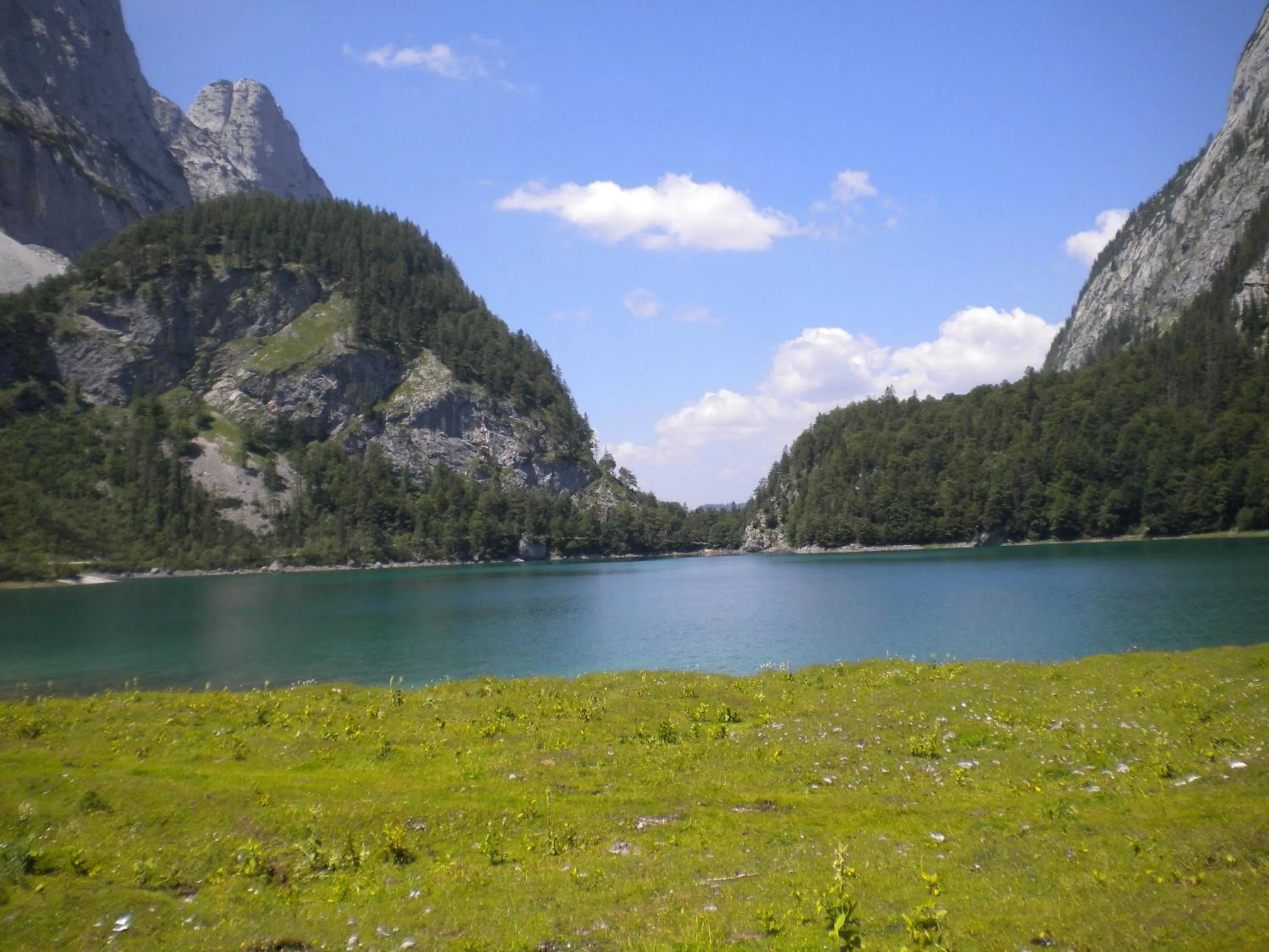 Hiking, Natural Landscape in Privatpension Gosaukammblick