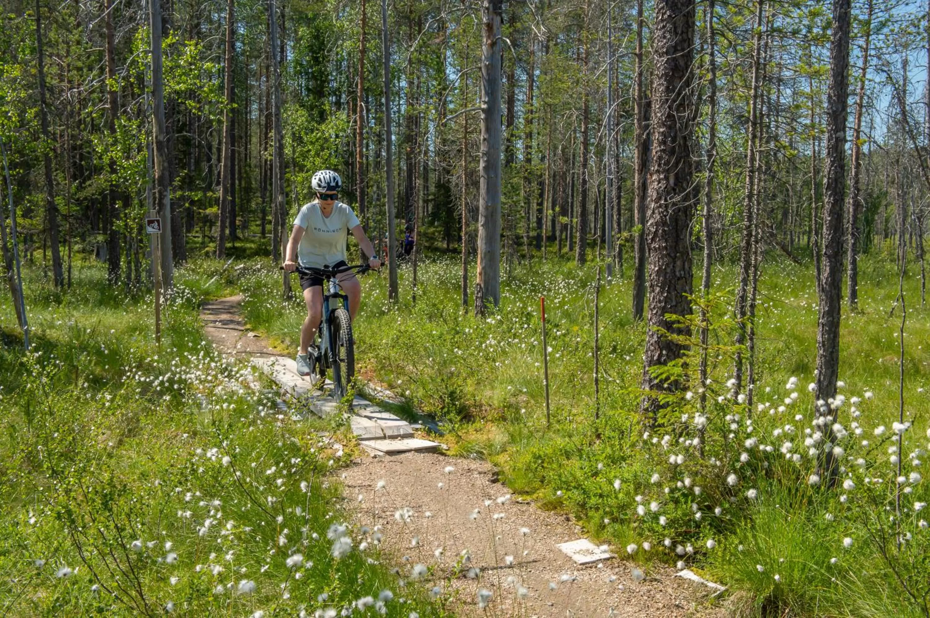 Day in Lake Residence Ukkohalla