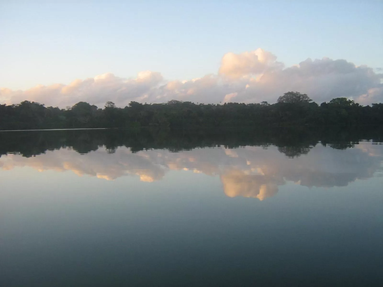 Natural landscape in Seachange Lodge