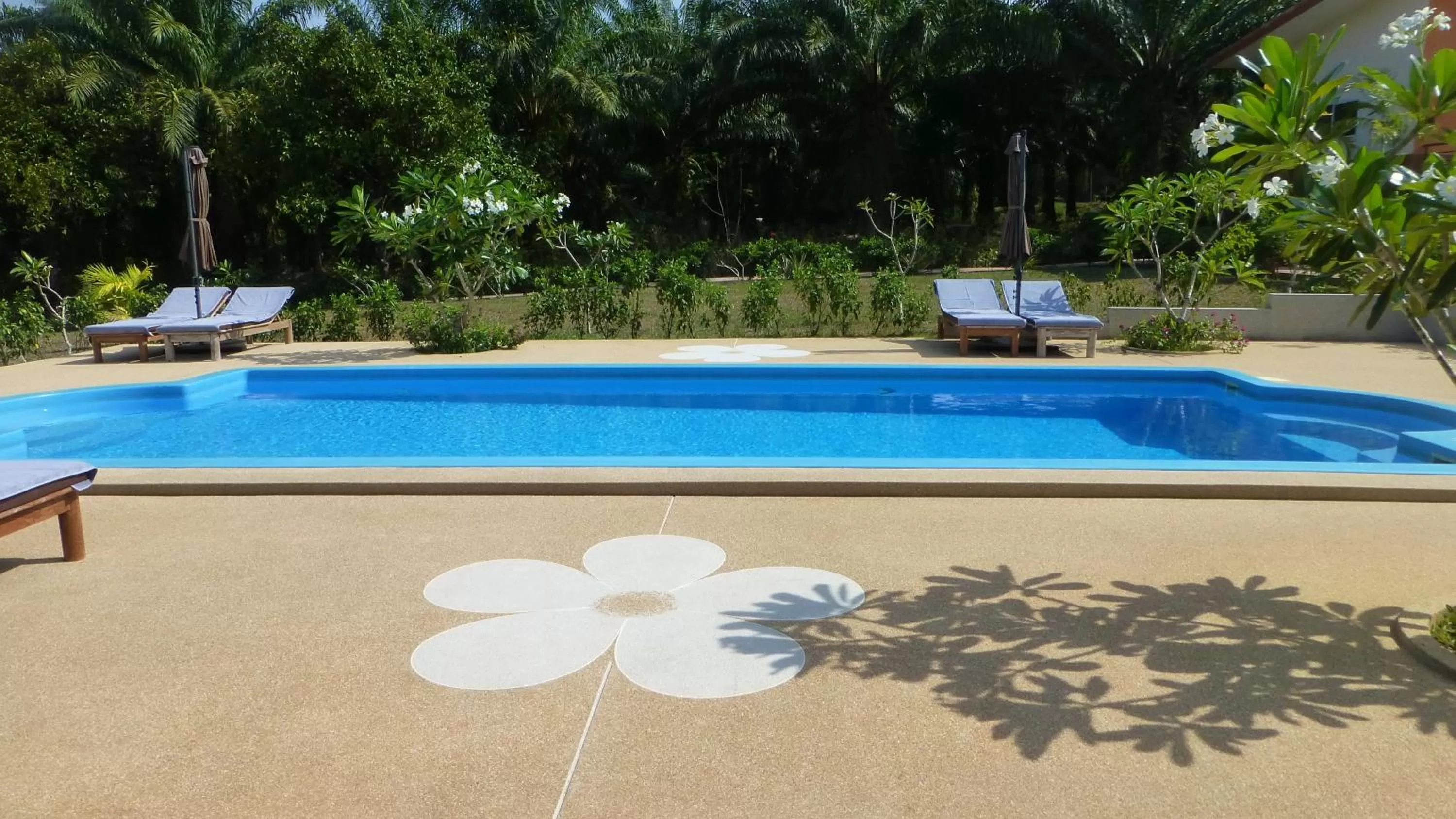 Pool view, Swimming Pool in Khao Sok Jasmine Garden Resort - SHA Certified