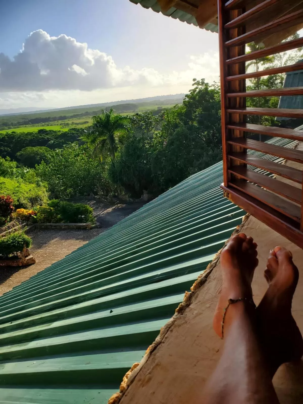 View (from property/room) in Altos de Caño Hondo