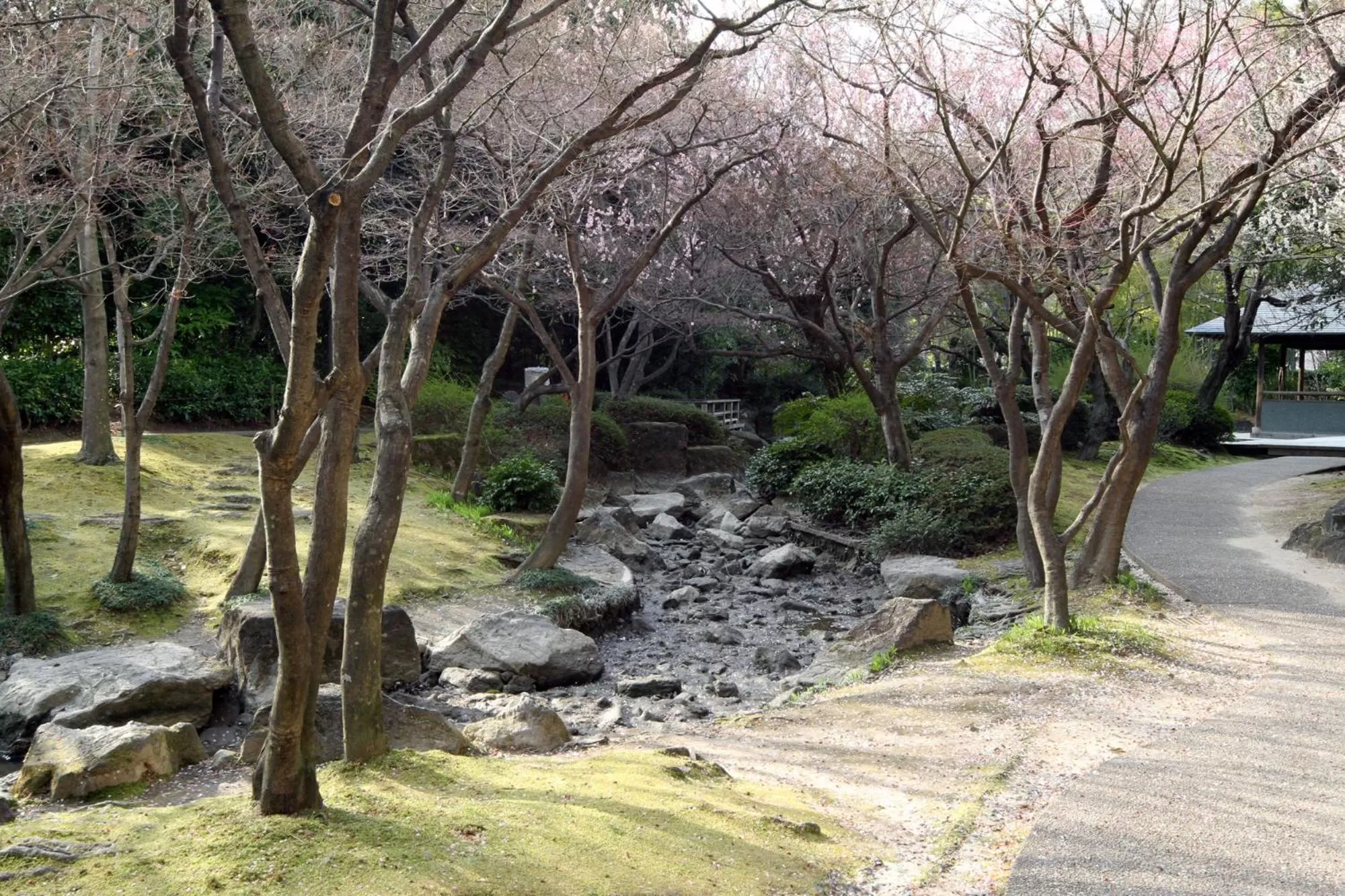Natural landscape in Hotel Hiroshima Sunplaza