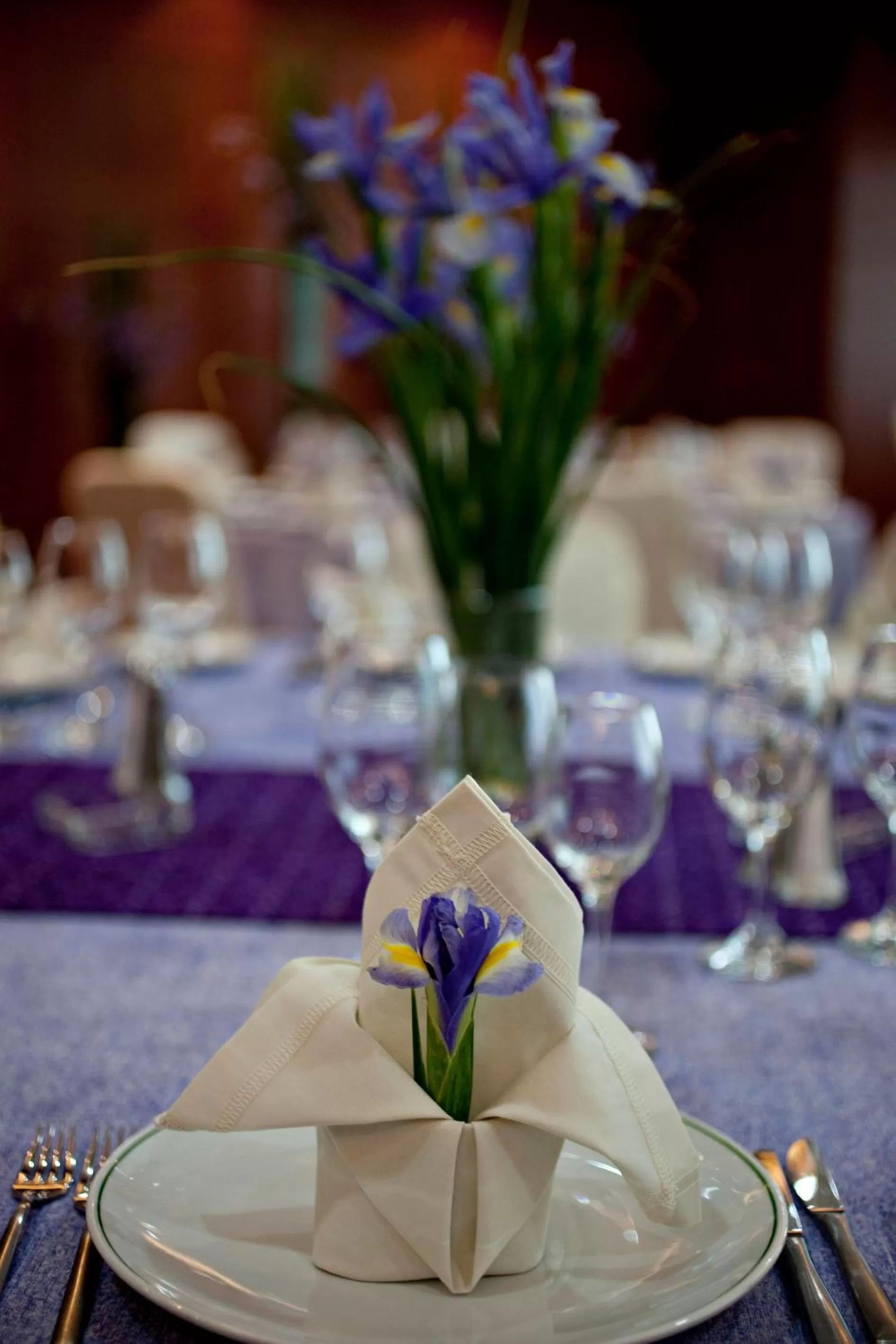 Banquet/Function facilities in Suites Camino Real