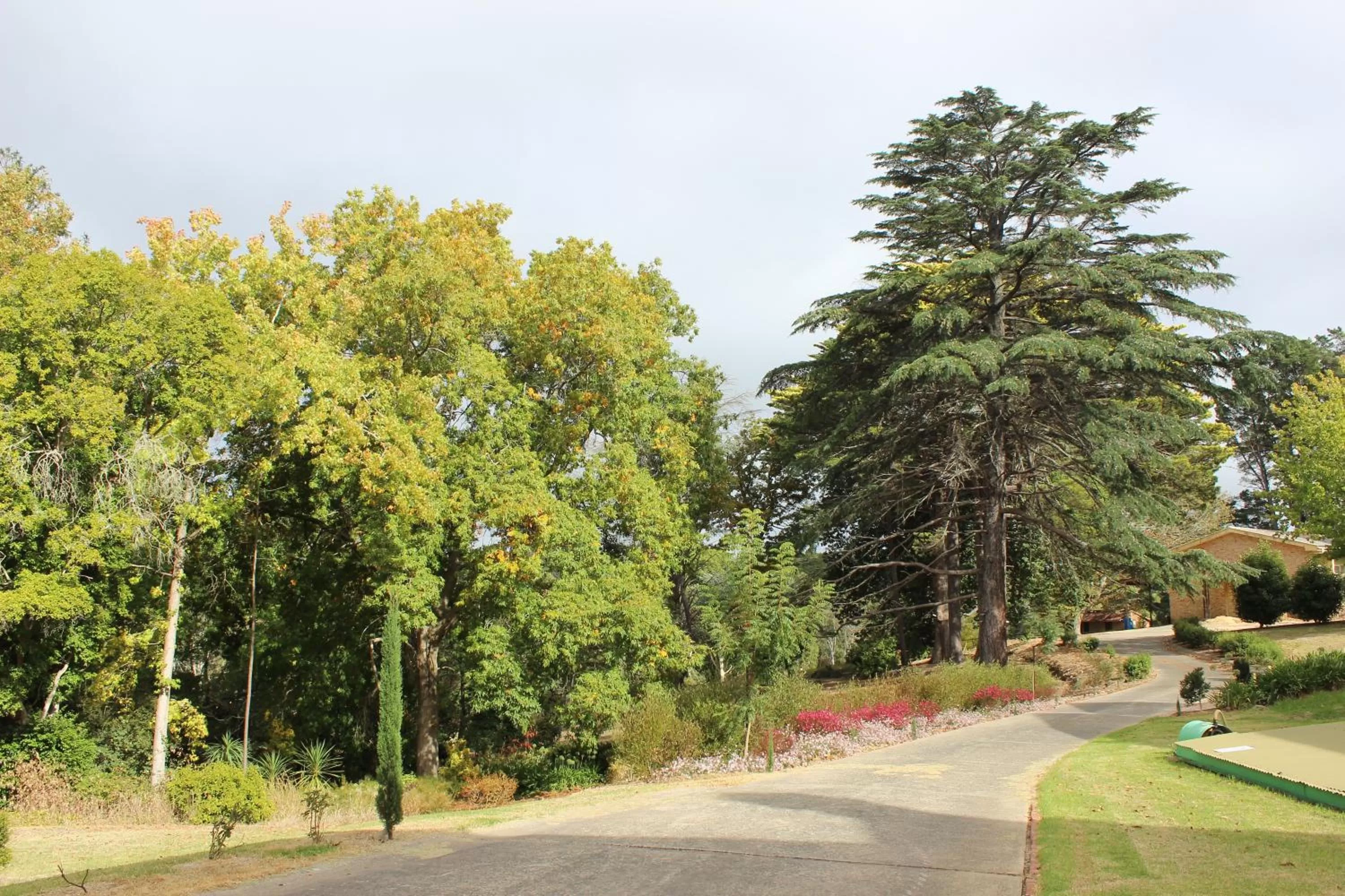 Garden view in Pirralilla Estate Adelaide Hills