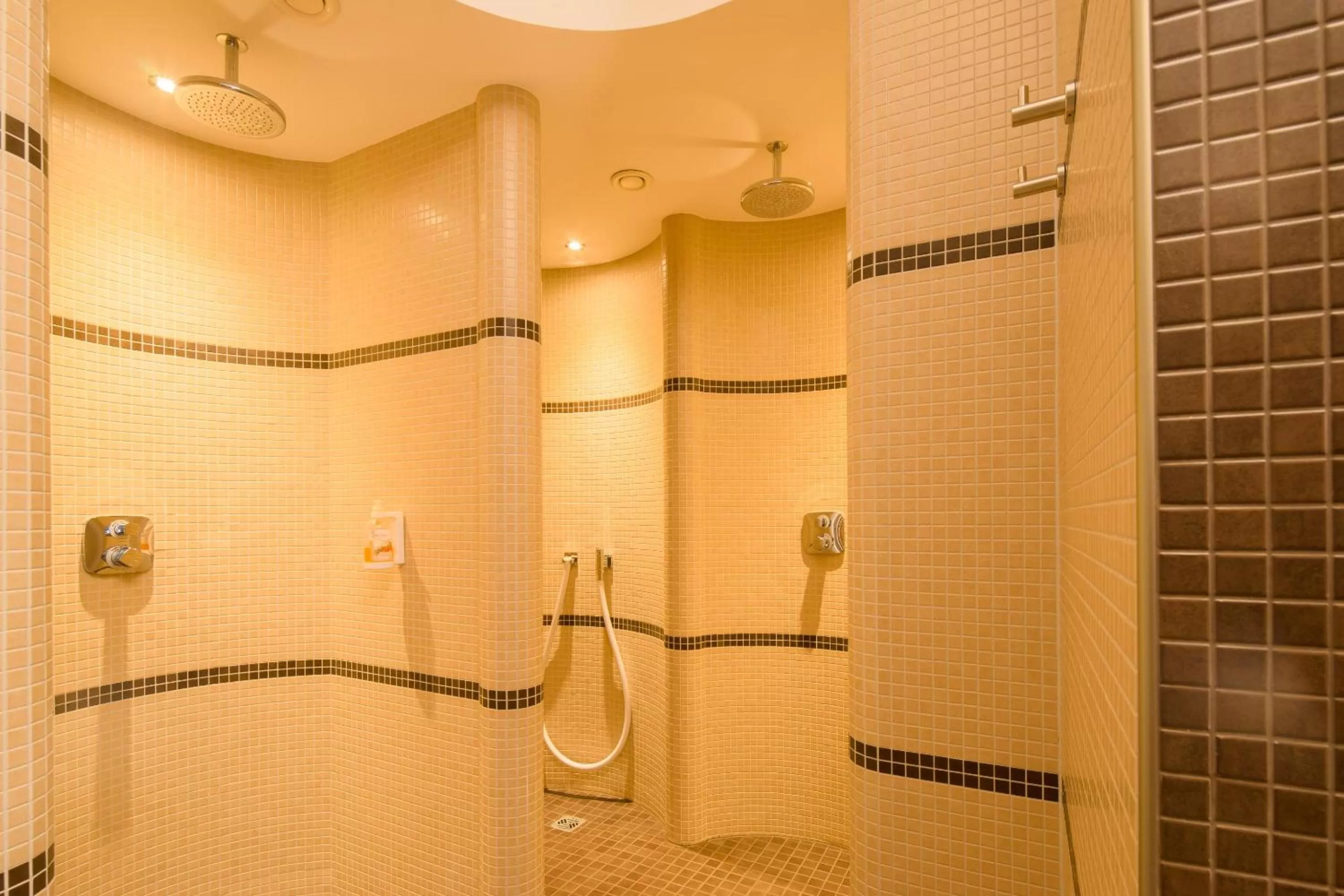 Spa and wellness centre/facilities in Hotel Heidehof garni