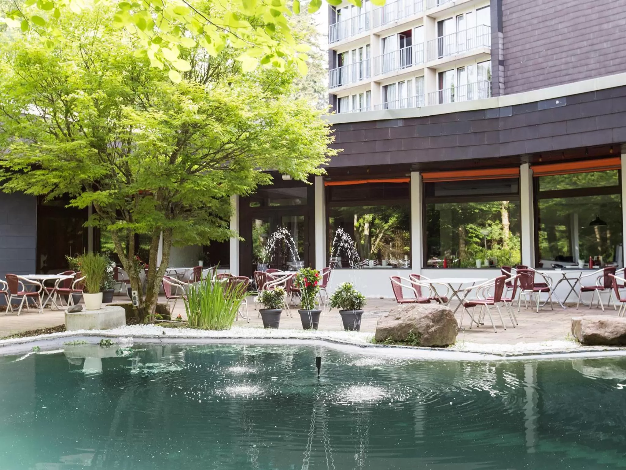 Restaurant/places to eat in DORMERO Hotel Freudenstadt