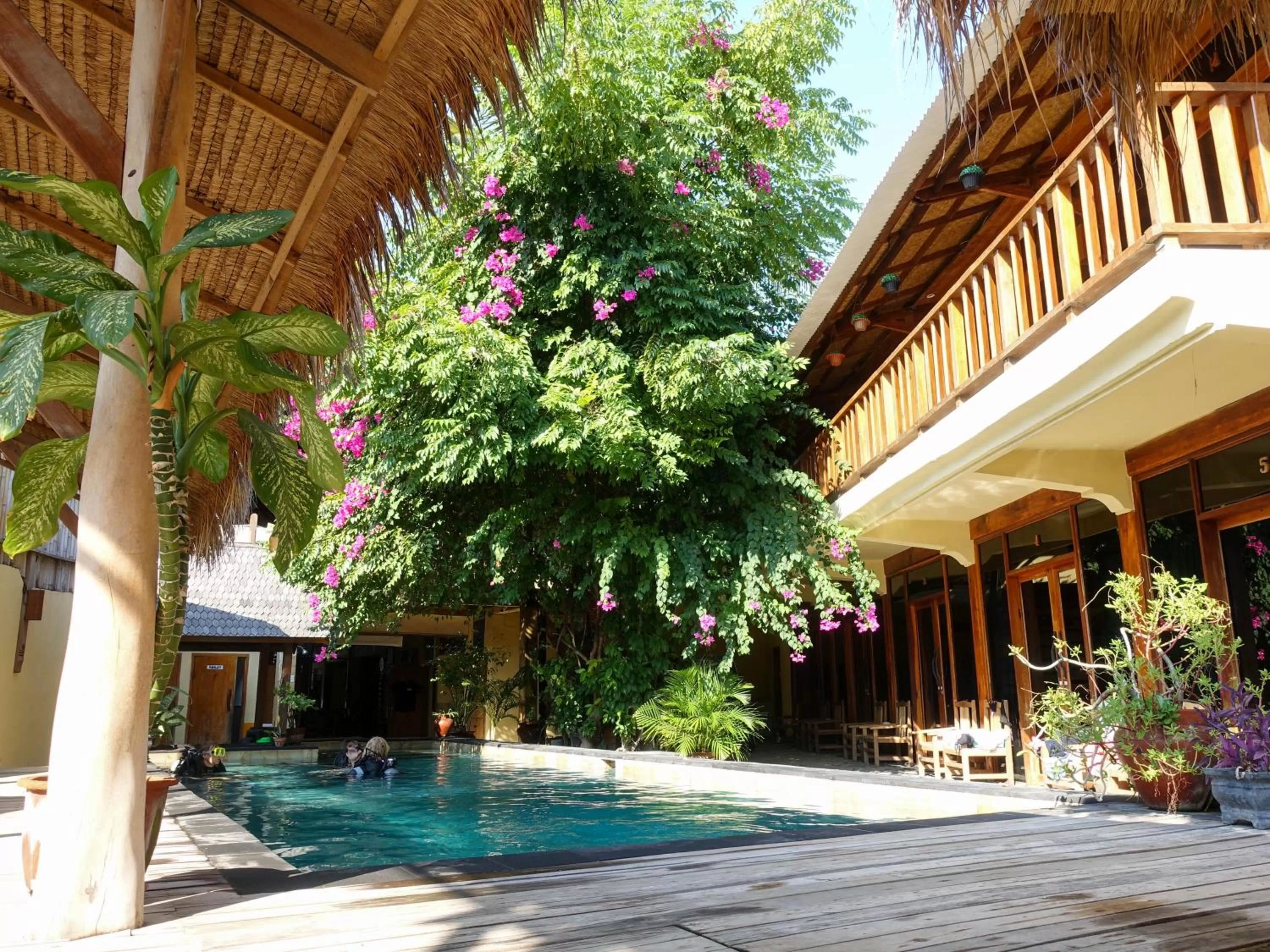 Swimming pool in Gili Divers Hotel