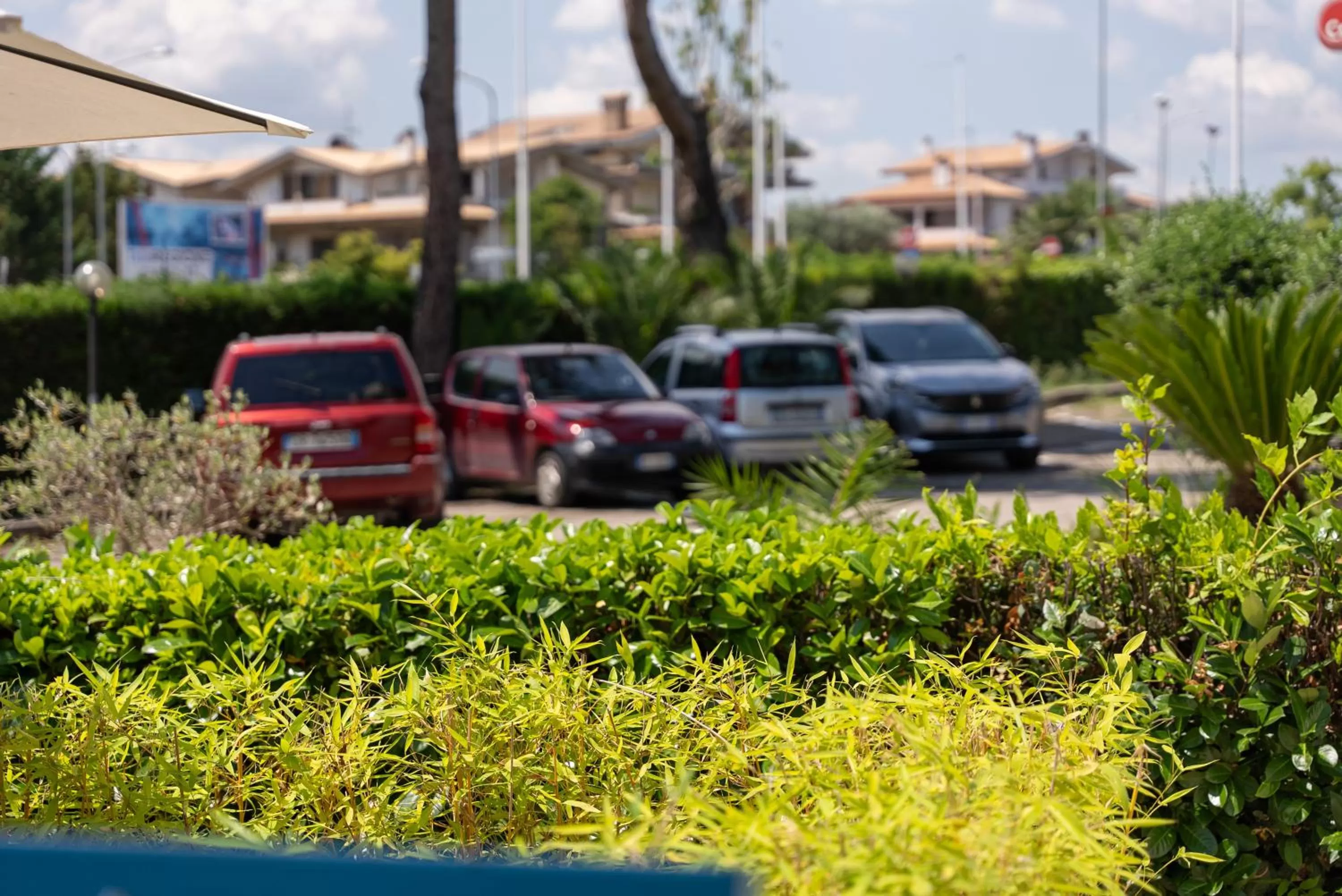 Garden in Hotel La Fonte