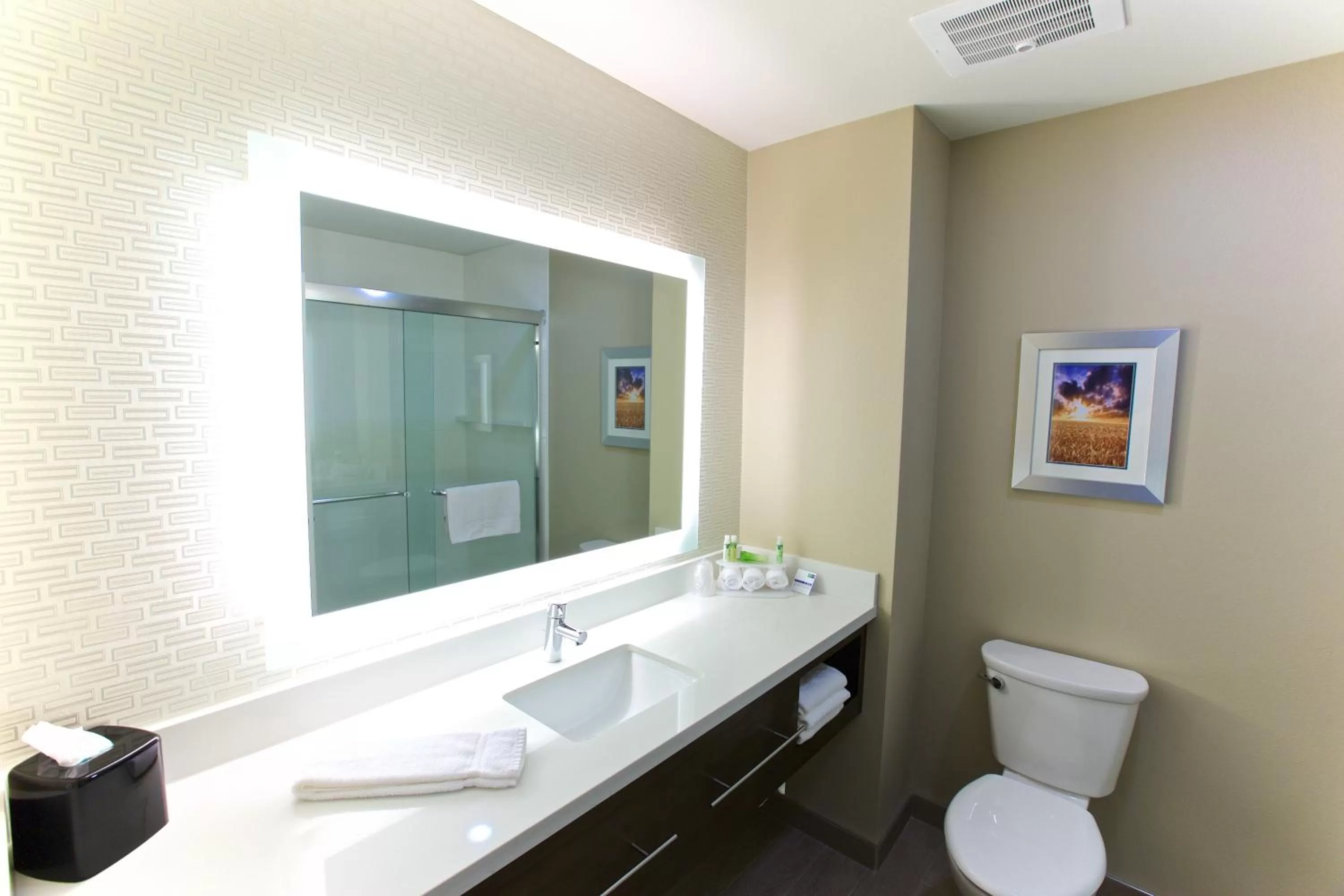 Photo of the whole room, Bathroom in Holiday Inn Express Fargo SW I94 Medical Center, an IHG Hotel